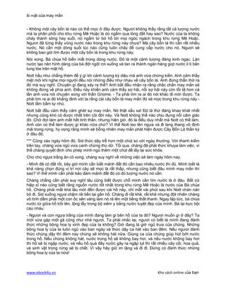 Bí mật của may mắn


- Không một cây bốn lá nào có thể mọc ở đây được. Ngươi không thấy rằng tất cả lượng nước
mà ta phân phối cho khu rừng Mê Hoặc là do ngấm qua lòng đất hay sao? Nước của ta không
chảy thành sông hay suối, nó ngấm từ bờ hồ tới mọi ngóc ngách trong khu rừng Mê Hoặc.
Ngươi đã từng thấy vũng nước nào trong khu rừng này chưa? Mà cây bốn lá thì cần rất nhiều
nước. Nó cần một dòng suối lúc nào cũng tuôn chảy để cung cấp nước cho nó. Ngươi sẽ
không bao giờ tìm được một cây bốn lá trong khu rừng này.
Nói xong, Bà chúa hồ biến mất trong dòng nước. Đó là một cảnh tượng đáng kinh ngạc. Làn
nước tạo nên hình dáng của bà đột ngột rơi xuống và tan ra thành ngàn hàng giọt nước li ti bắn
tung tóe trên mặt hồ.
Nott hầu như chẳng thèm để ý gì tới cảnh tượng kỳ diệu mà anh vừa chứng kiến. Anh cảm thấy
mệt mỏi khi nghe mọi người đều nói những điều như nhau về cây bốn lá. Anh đứng thẫn thờ ra
đó mà suy nghĩ. Chuyện gì đang xảy ra thế? Anh bắt đầu nhận ra rằng chắc chắn may mắn sẽ
không đứng về phía anh. Điều này khiến anh cảm thấy sợ hãi, nỗi sợ hãi này còn tồi tệ hơn cả
lần anh vừa nói chuyện xong với thần Gnome. - Ta phải tìm ra ai đó nói khác đi mới được. Ta
phải tìm ra ai đó khẳng định với ta rằng cái cây bốn lá may mắn đó sẽ mọc trong khu rừng này -
Nott lầm bầm tự nhủ.
Nott bắt đầu cảm thấy căm ghét sự may mắn. Nó thật xấu xa! Đó là thứ đáng khao khát nhất
nhưng cũng khó có được nhất trên cõi đời này. Và Nott không thể nào chịu đựng nổi cảm giác
đó. Chờ đợi làm anh mất hết tinh thần, nhưng hiện giờ, đó là điều duy nhất mà Nott có thể làm.
Anh còn có thể làm được gì khác nữa chứ? Vì thế Nott leo lên ngựa và đi lang thang vô định
mãi trong rừng, hy vọng rằng mình sẽ bỗng nhiên may mắn phát hiện được Cây Bốn Lá thần kỳ
ở đâu đó.
*** Cũng vào ngày hôm đó, Sid thức dậy trễ hơn một chút so với ngày thường. Với thanh kiếm
trên tay, chàng vừa ngủ vừa canh chừng thú dữ. Tối qua, chàng đã phải thức khuya làm việc, vì
thế chàng quyết định cho phép mình ngủ thêm một chút để lấy lại sức khỏe.
Cho chú ngựa trắng ăn cỏ xong, chàng suy nghĩ về những việc sẽ làm ngày hôm nay.
- Mình đã có đất rồi, bây giờ mình cần biết mảnh đất đó cần bao nhiêu nước thì đủ. Mình biết là
khả năng chọn đúng vị trí nơi cây sẽ mọc là rất thấp, nhưng cũng biết đâu mình may mắn thì
sao? Vì thế mình cần phải bảo đảm mảnh đất đó có đủ lượng nước nó cần.
Chàng chẳng cần phải suy nghĩ lâu cũng biết được chỗ mình cần tìm nước là ở đâu. Bất cứ
hiệp sĩ nào cũng biết rằng nguồn nước tốt nhất trong khu rừng Mê Hoặc là nước của Bà chúa
hồ. Chàng phải mất khá lâu mới đến được cái hồ này, chỉ mất vài phút sau khi Nott chán nản
bỏ đi. Sid xuống ngựa chậm rãi tiến lại gần hồ. Chàng đi rất khẽ, rất khẽ nhưng đột nhiên chàng
vô tình dẫm phải một con ốc sên vàng làm nó ré lên một tiếng thất thanh. Ngay lập tức, bà chúa
nước từ giữa hồ trồi lên, lộng lẫy trong bộ xiêm y bằng nước tuyệt đẹp của mình. Bà lại bực bội
càu nhàu:
- Ngươi và con ngựa trắng của mình đang làm gì bên hồ của ta đó? Ngươi muốn gì ở đây? Ta
mới vừa gặp một gã cũng như nhà ngươi. Ta phải nhắc lại, ngươi có biết là mình đang đánh
thức những bông hoa ly xinh đẹp của ta không? Giờ đang là giờ ngủ trưa của chúng. Những
bông hoa ly của ta luôn ngủ vào ban ngày và thức dậy ca hát vào ban đêm. Nếu ngươi đánh
thức chúng dậy thì đêm nay chúng sẽ không hát nữa. Giọng ca của chúng giúp hút bớt nước
trong hồ. Nếu chúng không hát, nước trong hồ sẽ không bay hơi, và nếu nước không bay hơi
thì hồ sẽ bị ngập nước, và nếu hồ quá đầy nước gây ra ngập lụt thì rất nhiều cây cối, hoa quả,
và sinh vật trong rừng sẽ bị chết. Vì vậy hãy giữ im lặng và đi đi. Đừng có đánh thức những
bông hoa ly của ta nữa!



www.ebook4u.vn                                                          Kho sách online của bạn
 