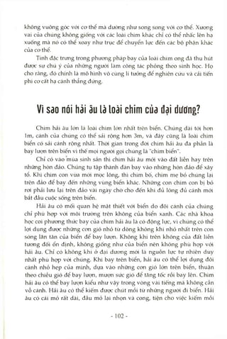 không vuông góc với cơ thể mà dường nliư song song vói cơ thể. Xưong
vai của chúng không giống vói các loài chim khác chỉ có thể nhấc lên hạ
xuống mà nó có thể xoay như trục để chuyển lực đến các bộ phận khác
của cơ thể.
Tính đặc trưng trong phương pháp bay của loài chim ong đã thu hút
được sự chú ý của những người làm công tác phỏng theo sinh học. Họ
cho rằng, đó chính là mô hình vô cùng lí tưởng để nghiên cứu và cải tiến
phi cơcất hạ cánh thẳng đứng.
Vì sao nói hải âu là loài chìm của đại dưdng?
Chim hải âu lớn là loài chim lớn nhất trên biển. Chúng dài tói hon
Im, cánh của chúng có thể sải rộng hơn 3m, và đây cũng là loài chim
biển có sải cánh rộng nhất. Thòi gian trong đòi chim hải âu đa phần là
bay lưọn trên biển vì thế mọi ngưòi gọi chúng là "chim biển".
Chỉ có vào mùa sinh sản thì chim hải âu mói vào đất liền hay trên
những hòn đảo. Chúng tụ tập thành đàn bay vào những hòn đảo để xây
tổ. Khi chim con vừa mói mọc lông, thì chim bố, chim mẹ bỏ chúng lại
trên đảo để bay đến những vùng biển khác. Những con chim con bị bỏ
roi phải lưu lại trên đảo vài ngày chờ cho đến khi đủ lông đủ cánh mói
bắt đầu cuộc sống trên biển.
Hải âu có mối quan hệ mật thiết vói biển do đôi cánh của chúng
chỉ phù họp vói môi trường trên không của biển xanh. Các nhà khoa
học coi phưong thức bay của chim hải âu là có động lực, vì chúng có thể
lợi dụng được những con gió nhỏ từ dòng không khí nhỏ nhất trên con
sóng lăn tăn của biển để bay lượn. Không khí trên không của đất liền
tương đối ổn định, không giống như của biển nên không phù họp vói
hải âu. Chỉ có không khí ở đại dương mới là nguồn lực tự rvhiên duy
nhất phù họp vói chúng. Khi bay trên biển, hải âu có thể lợi dụng đôi
cánh nhỏ hẹp của mình, dựa vào những cơn gió lớn trên biển, thuận
theo chiều gió để bay lượn, mưọn sức gió để tăng tốc rồi bay lên. Chim
hải âu có thể bay lượn kiểu như vậy trong vòng vài tiếng mà không cần
vỗ cánh. Hải âu có thể kiếm được chút mồi từ những người đi biển. Hải
âu có cái mỏ rất dài, đầu mỏ lại nhọn và cong, tiện cho việc kiếm mồi
- 102-
 
