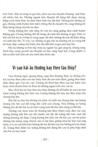 trên biển. Khi có sóng to gió lớn, phía sau tàu thuyền thường xuất hiện
rất nhiều hải âu. Những người trên thuyền dễ dàng bắt được chúng
bằng cách ném thức ăn kèm theo lưõi câu để nhử. Nhưng khi không có
gió, những cánh buồm trên biển chăng thể di chuyên thì cũng không hề
thấy bóng dáng của hải âu đâu.
Trong không khí yên lặng thì hải âu cũng giống nlrư cánh buồm
không gió. Chúng không thể dễ dcàng cất cánh khi không có gió. Trên co
thể của hải âu là cơ bắp ở vùng ngực râ't nhỏ, không đủ sức để khỏi động
vỗ cáirh bay lên. Vì vậy, lúc không có gió, hải âu thường ròi xa vùng bất
lọi hoặc đáp xuống mặt biển, đọi cho đến khi có gió mói bay lên.
Hải âu không sợ bão táp mưa sa, ngược lại, gió càng to, chúng càng
thích bay xung quanh tàu thuyền và bay càng hoạt bát. Cũng chính vì
thế cư dân trên đảo rất yêu mến loài chim này.
Vì sao hải âu thường bay theo tàu thủy?
Vào những ngày quang đãng, ngư dân thường thấy có những chú
hải âu bay theo phía sau tàu thủy trên độ cao nhất định, giống như chiếc
diều được gắn Vcào tcàu vậy. Chúng rất thích bay theo sau tàu kiếm mồi
hoặc nhặt nhcạnh thức ăn thừa do những người trên tàu vứt ra.
Mục đích hải âu bay theo tcàu thủy không chỉ để kiếm ăn mà còn tìm
kiếm luồng không khí trên cao. Luồng không khí này tạo điều kiện cho
chúng bay lên.
Khi hải âu bay lên không cần phải vỗ cánh mà chúng dựa vào luồng
không khí lên cao để nàng đôi cánh của chúng. Nếu không có luồng
không khí đó thì hải âu sẽ lượn vòng tròn để dần dần nâng cơ thể lên.
Những con mưa mùa hè thường kéo theo nhiều mây đen, lúc này
luồng không khí lên cao rất mạnh, mà tốc độ luồng khí trên mặt đất
thông thường rất thấp. Càng hướng lên trên, tốc độ lên cao của bộ phận
không khí nóng càng nhanh, tạo ra lực kéo, giống như lực kéo của ống
khói, ở vị trí cao hẳn trên không thì tốc độ lên cao của không khí lại chậm
đi. Trong thòi điểm lúc luồng không khí đang lên cao là phù họp nhất
cho hái âu bay lượn.
103 -
 