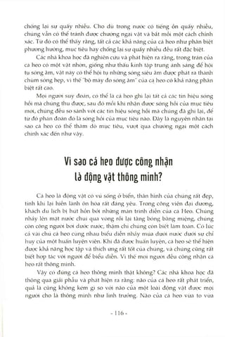 chống lại sự quấy nhiễu. Cho dù trong nước có tiếng ồn quấy nhiễu,
chúng vẫn có thể tránh được chướng ngại vật và bắt mồi một cách chúìh
xác. Từ đó có thể thấy rằng, tất cả các khả năng của cá heo như phân biệt
phưong hưóng, mục tiêu hay chống lại sự quấy nhiễu đều rất đặc biệt.
Các nhà khoa học đã nghiên cứu và phát hiện ra rcằng, trong trán của
cá heo có một vật nhờn, giống như thấu kính tập trung ánh sáng đê hội
tụ sóng âm, vật này có thể hội tụ những sóng siêu âm được phát ra thành
chùm sóng hẹp, vì thế "bộ máy đo sóng âm" của cậ heo có khả năng phân
biệt rất cao.
Mọi người suy đoán, có thể Icà cá heo ghi lại tất cả các tín hiệu sóng
hồi mà chúng thu được, sau đó mỗi khi nhận được sóng hồi của mục tiêu
mói, chúng đều so sánh với các tín hiệu sóng hồi mà chúng đã ghi lại, để
từ đó phcán đoán đó là sóng hồi của mục tiêu nào. Dây Icà nguyên nhân tại
sao cá heo có thể thăm dò mục tiêu, vưc.yt qua chướng ngại một cách
chính xác đến như vậy.
Vì Sdo cá heo được công nhận
là độngvật thông minh?
Cá heo là động vật có vú sống ở biên, thân hình của chúng rất đẹp,
tính klií lại hiền Icành ôn hòa rất đáng yêu. Trong công viên đcại dưong,
khcách du lịch bị hút hồn bcVi những màn trình diễn của cá Heo. Chúng
nhảy lên mặt nưtx: chui qua vòng rồi kại tâng bóng bằng miệng, chúng
còn cõng người bơi dưw nước, thậm chí chúng còn biết làm tOcán. Có lúc
cà vài chú cá heo cùng nhau biểu diễn nhảy múa dưcVi nưcVc dưới sự chỉ
huy của mc)t huấn luyện viên. Khi đã được huấn luyện, cá heo sẽ thể hiện
được khả năng học tập Vcà thích ứng rất tốt của chúng, Vcà chúng cũng rất
biết họp tcác vói người để biểu diễn. Vì thế mọi người đều công nhận cá
heo rất thông minh.
Vậy ccS đúng cá heo thông minh thcật không? Các nhà khoa học đã
thông qua giải phẫu và phtát hiện ra rằng: não của cá heo rất phcát triển,
quả Icà cũng không kém gì so vód não của một loài động vật được mọi
ngưòi cho là thông minlT như linh trưởng. Não của cá heo vừa to vừa
16-
 