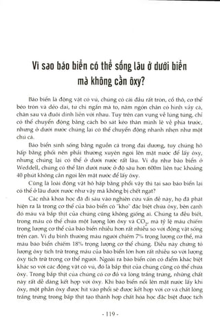 Vì sao báo biển có thể sống lâu d dưới biển
mà không cần ôxy?
Báo biển là động vật có vú, chúng có cái đầu rất tròn, cổ thô, cơ thể
béo tròn và dẻo dai, tứ chi ngắn mà to, năm ngón chân có hình vảy cá,
chân sau và đuôi dính liền vói nhau. Tuy trên cạn vụng về lúng túng, chỉ
có thể chuyển động bằng cách bò sát kéo thân mình lê về phía trước,
nhưng ở dưói nước chúng lại có thể chuyển động nhanh nlaẹn như một
chú cá.
Báo biển sinh sống bằng nguồn cá trong đại dương, tuy chúng hô
hấp bằng phổi nên phải thường xuyên ngoi lên mặt nước để lấy ôxy,
nhưng chúng lại có thể ở dưói nước rất lâu. Ví dụ như báo biển ở
VVeddell, chúng có thể lặn dưới nước ở độ sâu hon 600m liên tục khoảng
40 phút không cần ngoi lên mặt nước để lấy ôxy.
Cũng là loài động vật hô hấp bằng phổi vậy thì tại sao báo biển lại
có thể ở lâu dưới nước như vậy mà không bị chết ngạt?
Các nhà khoa học đã đi sâu vào nghiên cứu vấn đề này, họ đã phát
hiện ra là trong cơ thể của báo biển có "kho" đặc biệt chứa ôxy, bên cạnh
đó máu và bắp thịt của chúng cũng không giống ai. Chúng ta đều biết,
trong máu có thể chứa một lượng lớn ôxy và co^, mà tỷ lệ máu chiếm
trọng lượng cơ thể của báo biển nhiều hơn rất nhiều so vói động vật sống
trên cạn. Ví dụ bình thường máu ngưòi chiếm 7% trọng lượng cơ thể, mà
máu báo biển chiếm 18% trọng lượng cơ thể chúng. Điều này chứng tỏ
lượng ôxy tích trữ trong máu của báo biển lớn hơn rất nhiều so vói lượng
ôxy tích trữ trong cơ thể người. Ngoài ra báo biển còn có điểm khác biệt
khác so vói các động vật có vú, đó là bắp thịt của chúng cũng có thể chứa
ôxy. Trong bắp thịt của chúng có cơ đỏ và lòng trắng trứng, những chất
này rất dễ dàng kết họp với ôxy. Khi báo biển nổi lên mặt nước lấy khí
ôxy, một phần ôxy được hít vào phổi sẽ được kết họp vói cơ và chất lòng
trắng trứng trong bắp thịt tạo thành họp chất hóa học đặc biệt được tích
- 119-
 