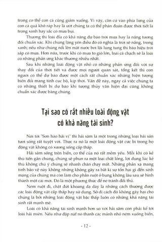 trong cơ thể con cá cũng giảm xuống. Vì vậy, căn cứ vào phía lưng của
con cá quả khô ráp hay là ướt chúng ta có thể phán đoán được thòi tiết là
trong xanh hay sắc có mưa bụi.
Thường thì loài đỉa có khả năng dự báo tròi mưa hay là nắng tưong
đối chuẩn xác. Khi chúng lặng yên điều đó có nghĩa là tròi sẽ nắng, trong
xanh; nếu như chúng nổi lên mặt nước boi lội lung tung thì báo hiệu tròi
sắp có mưa. Hon nữa, trước khi có mưa to gió lớn, loài cá chạch sẽ là loài
có những phản ứng khác thường nhiều nhất.
Sau khi những loài động vật nhỏ có những phản ứng đối với sự
thay đổi của thòi tiết và được mọi người quan sát, tổng kết thì con
ngưòi có thể dự báo được một cách rất chuẩn xác những hiện tượng
biến đổi mang tính cục bộ, kịp thời. Vấn đề này, ngay cả việc chúng ta
có những thiết bị dự báo khí tượng thủy văn hiện đại cũng không
chuẩn xác được bằng chúng.
Tdi sao có rất nhiều loài động vật
có khả năng tái sinh?
Nói tới "Sơn hào hải vị" thì hải sâm là một trong những loại hải sản
tươi sống rất tuyệt vòi. Thực ra nó là một loài động vật cức bì trong họ
động vật không có xương sống cấp thấp.
Hải sâm sống trên biển, cơ thể của nó rất mềm yếu. Mỗi khi có kẻ
thù tiến gần chúng, chúng sẽ phun ra một loại chất lỏng, lọi dụng lúc kẻ
thù không chú ý chúng sẽ nhanh chân chạy mất. Những phản xạ mang
tính bảo vệ này không nliững không gây ra bâ't kì sự tổn hại gì đến sứứi
mạng của chúng mà còn làm cho phần ruột ở bụng không lâu sau sẽ hình
thành một cái mói. Đó là một phưong thức để né tránh đối thủ.
Ném ruột đi, chặt đứt khoang dạ dày là những cách thường được
các loài động vật cấp thấp hay sử dụng. Sở dĩ cách đó không gây hại cho
chúng là bỏi những loài động vật bậc thấp luôn có những khả năng tái
sinh rất mạnh mẽ.
Loài có khả năng tái sứủì mạnh hơn so vói hải sâm còn phải kể tói
loài hải miên. Nếu như đập nát nó thàrửi các mảnh nhỏ ném xuống biển.
- 12-
 