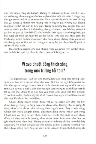 mãi mãi bị tấn công săn bắt nên không có cách nào sinh sôi. Chính vì vậy
mà số lượng nhím càng nhiều lên, ngẫu nhiên một vài loài có lông cúng
như gai sẽ có vũ khí tự vệ tự nhiên. Như vậy tốc độ sinh sán của những
loài gai nhọn sẽ nhanh hon những loài không có gai. Những locài không
có gai sẽ vì thế mà dcần bị tiêu diệt. Trong sô những locài có gai, loài nào
có càng nhiều gai hon thì khả năng phòng vệ sẽ cao hon. Những locài có ít
gai hon sẽ gần bị đào thái. Cứ như thế cho đến ngày nay những chiếc gai
thô cimg đã mọc kín toàn bộ cơ thể nhím. Trải qua một thòi gian dài
thích ứng, nhím đã học được cách chủ động dùng những chiếc gai nhọn
để phòng ngự kẻ thù, có lúc chúng còn rung bộ gai nhọn lên để phát ra
âm thanỈT dọa dịch.
Đó chứih là nguồn gốc của những chiếc gai nhọn trên cơ thể nhím,
nó chíiah Icàkết quả lựa chọn tự nlaiên qua một thời gian díài.
Vì Sdo chuột đồng thích sống
trong môi trường tối tăm?
Tục ngữ có câu: "Vạn vật sinh trương nhở vào Vcầng thái dương", lánli
sáng mcặt trcMđem lại sức sống cho Vcìn vật. Câu tục ngữ trên muốn nói
đến tầm quan trọng của mặt tròi và tình yêu của mọi ngưcM đối với mạt
trời. Căn cứ Viào ý nghĩa của câu tục ngữ liệu chúng ta có thể kết luận là
tất Ccà các locài động thực Vtật đều yêu thích ánh sáng mặt tròi không?
Trưcx: khi trá 1(MCcâu hỏi này tôi sẽ kê cho các bạn nghe vè một loiài Vcật rất
đặc biệt. Dó chính kàchuột đồng.
Chuột đồng thuộc nhóm dộng Vcật có vú, nghe đến đây các bạn
đừng tưtVng chúng là đồng locỊi cùa chuột nhcà. Dường như ai cũng đã
từng nhìn thấy chuột nhtà, laliưng hiếm ngiròi nhìn thcấy chuột đồng.
Chuột nhà thuộc bộ gặm nhcấm, còn chuột đồng thuộc lOcài ăn cỏn trùng.
Chuột nhà có răng củ sắc laliọn, đuôi dcài, mình nhỏ, mắt to, còn chuột
đồng thì răng củ bình thirimg, đuôi ngắn, mình tròn, mắt nhỏ đến nỗi
gcần như không nhìn thấy. Thông qua sự so sánh ncàychúng ta có thê thấy
chuột nhtà Vcà chuột đồng hoàn toàn không có mối quan hộ họ hàng ruột
thịt. Chuột đồng thích ăn giun đất VtàCcácloài côn trùng. Bình thường khi
- 125 -
 