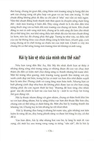 đào hang, chúng ăn giun đất, cộng thêm môi trường sống là hang đất ẩm
ưót của chúng cũng rất phù họp vói giun và các loài côn trùng. Vì thế
chuột đồng không phải đi đâu xa chỉ cần ở "nhà" mà vẫn có mồi ngon.
Nhờ thế chuột đồng hình thành một thói quen là chuyên sống dưới lòng
đất - một mòi trưòng ít biến đổi. Đây cũng chúih là lí do dẫn đến kliả
năng thích rmg vói sự biến đổi môi trường của chúng rất kém. Khi chuột
đồng ra nơi có ánli sáng mặt trời, chúng sẽ bị ánh sáng đó làm cho nhiệt
độ cơ thể tăng lên, mà khả năng điều tiết nhiệt độ của bộ não chuột đồng
Lại kém, nên lúc đó chúng phái thở gấp. Tương tự như vậy, sự điều tiết
của các hệ thống klìcác của chuột đồng cũng bị hỗn locạn, idaaiali gấp, cuối
cùng chúng sẽ bị chết trong sự chiếu rọi của mặt trời. Chính vì vậy mcà
chúng chỉ có thể sống trong môi trường tăm tối không có ánh sáng.
Hải ly bảo vệ nhà của mình như thế nào?
Nếu bạn tìmg đến Bắc Âu, Bắc Mỹ thì nhất định bạn sẽ thấy ở
những dòng sông nhỏ trong rừng có những đoạn đê cao vài chục mét
thậm chí đến cả trăm mét chia dòng sông ra thành những hồ nước nhỏ.
Mặt hồ trong như gương, môi trường xung quanh thơ mộng với cây
xanh cánh đẹp mê hồn, trong hồ lại có một vài hòn đáo nhỏ điểm xuyết
hoa lá nên thơ. Phong cảnh vô cùng lãng mạn hữu tình. Nhưng bạn có
biết phong Ccảnh đẹp như họa đó không phcải được tạo ra cho bạn cũng
không phải do con người thiết kế hay "thượng đế ban tặng cho nhân
gian" mà đó chính là kiệt tác của locài hải ly - một kĩ sư thủy lọi trong
thè giói động vật.
Hải ly thuộc nhóm động Vcật gặm nhấm, chúng có thân hình khá lớn
so với bcạn đồng nhóm, hải ly sống ở khu vực hàn đới thuộc Bắc bán cầu,
chúng còn có thê sống cả dưói băng đá. Một chú hải ly trưởng thànli dài
khoáng Im. Chúng tuy to lcVnnhrmg lại rất rửiút nhát.
Hải ly thường đcào hang ở những bờ nước sâu, gần những noi tiện
kiếm Icá rừng để ăn, đcáy hang phình rộng và được lót bằng lá cây, cỏ dại
để ở.
Vào ban đêm, hải ly nhẹ nhàng bcTÌ vào bờ, lẹ làng bí mật đi vào
rừng, chỉ một lúc sau trong rìmg vọng ra tiếng "sồn sột", đó là hải ly
- 126-
 