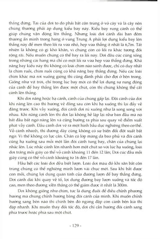 thẳng đứng. Tai của doi to do phải bắt côn trùng ở vỏ cây và lá cây nên
chúng thường phải áp dụng kiểu bay này. Kiểu bay rung cánh có thể
giúp chúng vận động lên thẳng. Nhưng loài doi cánh dài ban đêm
thường ân mình trong hang ớ vùng Trung Á phải lọi dụng kiểu bay lên
thẳng này để men theo lối ra vừa nhỏ, hẹp vừa thẳng ít nhất là 6,7m. Tất
nhiên là không có gì khó khăn, vì chúng còn có lối ra khác tưong đối
rộng rãi. Nếu muốn chúng có thể bay ra lối này. Doi đầu cúc cũng sống
trong những cái hang mà chỉ có một lối ra vừa hẹp vừa thẳng đứng. Khả
năng bay kiểu này thì không có loài chim nào sánh được, chỉ có duy nhất
là chim ruồi, chim ruồi cũng có khả năng bay thẳng đứng. Nếu các loài
chim khác mà roi xuống giếng thì cũng đành phải chờ đợi ở bên trong.
Giống nlrư vịt trời, chỉ trong lúc bay mói có thể lọi dụng sự rung động
của cánh để bay thẳng lên được một chút, còn thì chúng không thể cất
cánh lên thắng.
Khi dơi nâng hoặc hạ cánh, cánh của chúng gấp lại. Đôi cánh của dơi
khi nâng lên cao thì hướng về đằng sau còn khi hạ xuống thì lại đẩy về
đằng trước. Khi vẫy xuống, đôi cánh dơi rủ xuống như là song song vód
nhau. Khi nâng cánh lèn thì doi lại không hề lặp lại nlaư ban đầu mà nó
bắt đầu bất ngờ nâng lên và cũng hướng ra phía sau quay về điểm xuất
phát Vcẫy cánh. Dcầu cánh dơi vẽ ra một hình bầu dục nghiêng theo cơ thể.
Vỗ cánh nhanla, thì đường dây cũng klaông có sự biến đổi đột xuất bất
ngờ. Vì thế không có lực cản. Chân có lóp màng da bao phủ và đôi cánh
củng hạ xuống sau mỗi một lần đôi cánh tung bay, chân của chúng lại
nhấc lên. Llíc nhấc cánh lên nhanh hon một chút so vói lúc hạ xuống, loài
doi trắng mỗi giây có thể vỗ cánh khoảng 11 đến 12 lần; Doi cúc đầu mỗi
giây cũng có thể vổ cánli khoảng từ 16 đến 17 lần.
Hầu hết các loài doi đều biết lượn. Loài doi màu đỏ khi săn bắt côn
trùng chúng có thể nghiêng m'mh lượn vài chục mét. Sau khi bắt được
con mồi, chúng lcTÌ dụng quán tính của đường lượn đê bay thẳng đLÍng.
Dơi cánh dài khi quay về tổ, lọi dựng đường bay lượn xuống và tốc độ
cao, men theo đường xíến thắng có thể giảm đưọc ít nhất là 300m.
Doi không giống như chim, tức là dùng đuôi để điều chừih phương
hưcVng mà chúng chừih hướng bằng đôi cánh của mình. Khi muốn chỉnh
hướng sang bên nào thì chmh bên đó ngùng đập còn cánh bên kia thì
đập nhanh. Khi muốn thay đổi tốc độ, doi chí cần hướng đôi cánh sang
phía trước hoặc phía sau một chút.
- 129
 