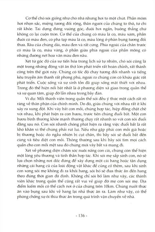 Cơ thể chó sói giống như chó nhà nhưng hoi to một chút. Phần mõm
hơi nhọn sắc, miệng tưong đối rộng, thân ngưòi của chúng to thô, tứ chi
râ't khỏe. Tai dựng đứng vuông góc, đuôi hoi ngắn, buông thẳng chứ
không co lại cuộn tròn. Cơ thể của chúng có màu lá cọ, màu xám, phần
đuôi có màu đen, có pha tạp màu lá cọ, màu lông ở phần bụng tương đối
thưa. Râu của chúng dài, màu đen và rất cứng. Phía ngoài của chân trước
có màu lá cọ, màu vàng, ở phần giữa phía ngoài của phần mông có
những đường nét hoa văn màu đen nâu.
Xét từ góc độ của sự tiến hóa trong lịch sử tự nhiên, chó sói cũng là
một trong những động vật ăn thịt lớn phát triển rất hoàn chừih, râ't thành
công trên thế giói ncày. Chúng có tốc độ chạy tương đối nhanh và tiếng
kêu truyền âm thanh rất phong phú, ngoài ra chúng còn có khứu giác rất
phát triển. Cuộc sống và sự sinh tồn đã giúp sống mcật thiết vói nhau.
Trong đó thể hiện nổi bật nhất là ở phương diện xã giao trong quần thể
và sự quan tâm, giúp đỡ lẫn nhau trong bầy đàn.
Ví dụ: Mỗi thành viên trong quần thể sói đều ý thức một cách rất rô
ràng về thcân phận của chính mình. Do đó, giữa chúng với nhau rất ít khi
xảy ra xung đột. Khi vây bắt con mồi, chúng họp tác, hiệp đồng chặt chẽ
vói nhau, khi phát hiện ra con hươu, trước tiên chúng đuổi bắt. Một con
hưcru bmh thường kliỏe mạnh thường chạy rất nhanh so vói con sói đuổi
đằng sau nó. Con sói nhanh chóng phát hiện ra rằng việc đuổi bắt là rất
khó khăn vì thế chúng phải rút lui. Nếu như gặp phải con mồi già hoặc
bị thương hoặc do ngẫu nhiên bị cụt chân, thì bầy sói sẽ đuổi bắt đến
cùng và tiêu diệt con mồi. Thông thường sau khi bầy sói tìm mọi cách
quần cho con mồi mệt sau đó chúng mới vây bắt và mang đi.
Xét về phương diện chăm sóc nuôi nấng con cái, chúng còn thể hiện
một lòng yêu thương và tinh thần họp tác. Khi sói mẹ sắp sinh con, nó sẽ
lựa chọn những noi dốc đứng để xây dựng một cái hang hoặc tận dụng
những cái hang cũ của loài động vật khác để củng cố thêm, sau khi sinh
con xong sói mẹ không đi ra khỏi hang, sói bố sẽ đưa thức ăn đến hang
theo đúng thời gian đã định. Không chỉ sói bố làm như vậy, các thành
viên khác trong quần thể cũng rất vui vẻ giúp đỡ mẹ con sói mẹ. Địa
điểm kiếm mồi có thể cách noi ở của chúng trên lOkm. Chúng nuốt thức
ăn vào bụng sau khi về hang lại nhả thức ăn ra. Làm như vậy, có thể
phòng chống sự ôi thiu thức ăn trong quá trình vận chuyển về nhà.
- 136-
 