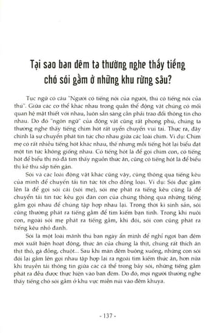 Tại Sdo ban đêm ta thường nghe thấy tiếng
chó sói gầm ở những khu rừng sâu?
Tục ngữ có câu "Ngưòi có tiếng nói của ngưòi, thú có tiếng nói của
thú". Giữa các cơ thể khác nhau trong quần thể động vật chúng có mối
quan hệ mật thiết vói nhau, luôn sẵn sàng cần phải trao đổi thông tứi cho
nhau. Do đó "ngôn ngữ" của động vật cũng rất phong phú, chúng ta
thường nghe thấy tiếng chim hót rất uyển chuyển vui tai. Thực ra, đây
chừứi là sự chuyển phát tin tức cho nhau giữa các loài chim. Ví dụ: Chim
mẹ có rất nhiều tiếng hót khác nhau, thê nhưng mổi tiếng hót lại biểu đạt
một tin tức không giống nhau. Có tiếng hót là để gọi chim con, có tiếng
hót để biểu thị nó đã tìm thấy nguồn thức ăn, cũng có tiếng hót là để biểu
thị kẻ thù sắp tiến gần.
Sói và các loài động vật khác cũng vậy, cũng thông qua tiếng kêu
của mình để chuyển tải tin tức tới cho đồng loại. Ví dụ: Sói đực gầm
lên là để gọi sói cái (sói mẹ), sói mẹ phát ra tiếng kêu cũng là để
chuyển tải tin tức kêu gọi đàn con của chúng thông qua những tiếng
gầm gọi nhau để chúng tập họp nhau lại. Trong thòi kì sinh sản, sói
cũng thường phát ra tiếng gầm để tìm kiếm bạn tình. Trong khi nuôi
con, ngoài sói mẹ phát ra tiếng gầm, khi đói, sói con cũng phát ra
tiếng kêu nhỏ đanh.
Sói là một loài mãnh thú ban ngày ẩn m'mh để nghỉ ngoi ban đêm
mói xuất hiện hoạt động, thức ăn của chúng là thịt, chúng rất thích ăn
thịt thỏ, gà đồng, chuột... Sau khi màn đêm buông xuống, những con sói
đói lại gầm lên gọi nhau tập họp lại ra ngOcài tìm kiếm thức ăn, hon nữa
khi truyền tải thông tin giữa các cá thể trong bầy sói, những tiếng gầm
phát ra đều được thực hiện vào ban đêm. Do đó, mọi ngưòi thường nghe
thây tiếng chó sói gầm ở khu vực miền núi vào đêm khuya.
137-
 