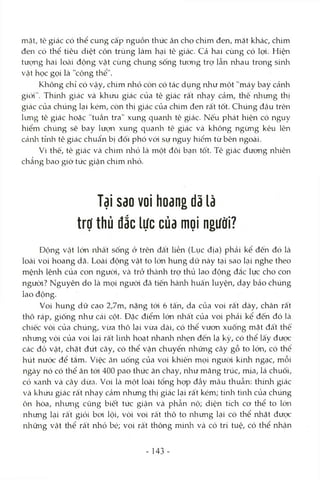 mặt, tê giác có thể cung cấp nguồn thức ăn cho chim đen, mặt khác, chim
đen có thể tiêu (diệt côn trùng làm hại tê giác. Cả hai cùng có lọi. Hiện
tượng hai locài động vật cùng chung sống tưong trợ lẫn nhau trong sinh
vật học gọi là "cộng thể".
Không chỉ có vậy, chim nhỏ còn có tác dụng như một "máy bay cảnh
giói". Thính giác và khứu giác của tê giác rất nhạy cảm, thê nhưng thị
giác của chúng lại kém, còn thị giác của chim đen rất tốt. Chúng đậu trên
lưng tê giác hoặc "tuần tra" xung quanh tê giác. Nếu phát hiện có nguy
hiểm chúng sẽ bay lưtm xung quanlr tê giác và không ngừng kêu lên
cảnh tỉinh tê giác chuẩn bị đối phó vói sự nguy hiểm từ bên ngoài.
Vì thế, tê giác và chim nliỏ là một đôi bạn tốt. Tê giác đưong nhiên
chẳng bao giờ tức giận chim nhỏ.
Tại sao voi hoang dã là
trợ thủ đắc lực của mọi người?
Động Vcật lớn nhất sống ở trên đất liền (Lục địa) phải kể đến đó là
loài voi hoang dã. Loài động vật to lớn hung dữ này tại sao lại nghe theo
mệnh lệnh của con người, Vcà trở thcành trợ thủ lao động đắc lực cho con
người? Nguyên do là mọi ngưòi đã tiến hànli huấn luyện, dạy bảo chúng
lao động.
Voi hung dữ cao 2,7m, nặng tới 6 tấn, da của voi rất dày, chân rất
thô ráp, giống như cái cột. Đặc điểm lớn nhất của voi phải kể đến đó là
chiếc vòi của chúng, vừa thô lại vừa dài, có thể vưcm xuống mặt đất thê
nhưng vòi của voi lại rất linh hoạt nhanh nhẹn đến lạ kỳ, có thể lấy được
các đồ vật, chặt đứt cây, có thể vận chuyển những cây gỗ to lớn, có thế
hút nưóc để tắm. Việc ăn uống của voi khiến mọi người kinh ngạc, mỗi
ngày nó có thể ăn tói 400 pao thức ăn chay, như măng trúc, mía, lá chuối,
cỏ xanh và cây dừa. Voi là một loài tổng họp đầy mâu thuẫn: thính giác
và khứu giác rất nhạy cảm nhưng thị giác lại rất kém; túìh tình của chúng
ôn hòa, nlrưng cũng biết tức giận và phẫn nộ; diện tích co thể to lớn
nhưng lại rất giỏi boi lội, vòi voi rất thô to nhưng lại có thể nhặt đưọc
những vật thể rất nhỏ bé; voi rất thông minh và có trí tuệ, có thể nhận
- 143 -
 