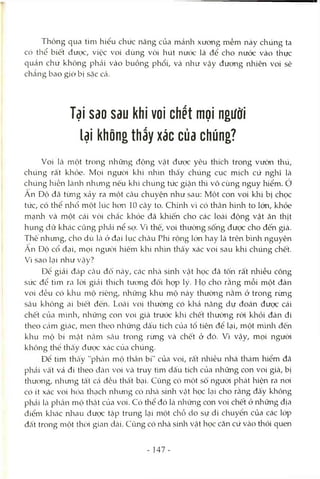 Thông qua tìm hiểu chúc năng của mảnh xương mềm này chúng ta
có thể biết đưcx:, việc voi dùng vòi hút nước là để cho nước vào thực
quản chứ không phcải vào buồng phổi, và như vậy đưong nhiên voi sẽ
chẳng bao giờ bị sặc Ccả.
Tại Sdo sau khi voí chết mọi người
lại không thấy xác của chúng?
Voi là một trong những động Vcật được yêu thích trong vườn thú,
chúng rất khỏe. Mọi người khi ivhìn thcấy chúng cục mịch cứ nghĩ là
chúng hiền Icàưh nhimg nếu khi chúng tức giận thì vô cùng nguy hiểm, ở
An Độ đã từng xảy ra một câu chuyện như sau: Một con voi khi bị chọc
tức, CC) thể nliổ một lúc hon 10 cây to. Chính vì có thân hình to lón, khỏe
mạnh và một cái vòi chắc khỏe đã khiến cho các loài động vật ăn thịt
hung dữ khác cũng phải nể sợ. Vì thế, voi thường sống được cho đến già.
Thê nhimg, cho dù Itàở đại lục châu Phi rộng lón hay là trên bình nguyên
An Độ cổ đại, mọi ngưcri hiếm khi nhìn thấy xác voi sau khi chúng chết.
Vì sao lại như Vtậy?
De giải đáp Ccâu đô ncày, Ccác nhcà sinh vật học đã tốn rất nhiều công
sức để tìm ra Icri giải thích tương đối họp lý. Họ cho rằng mỗi một đàn
voi đều có khu mộ riêng, những khu mộ này thường nằm. ở trong rùng
sâu không ai biết đến. Loài voi thườrig có khả năng dự đoán được cái
chết của mình, những con voi già trước klii chết thường ròi khỏi đàn đi
theo Ccám giác, men theo những dấu tích của tổ tiên để lại, một mhili đến
khu mộ bí mcật nằm sâu trong rừng và chết ở đó. Vì vậy, mọi ngưòi
không thể thấy được xác cùa chúng.
Đe tìm thấy "phcần mộ thần bí" của voi, rất nhiều nhà thám hiểm đã
phải vâ't vả đi theo đcàn voi Vcà truy tìm dấu tích của những con voi già, bị
thương, nliưng tâ't cá đều thât bại. Cũng có một số người phát hiện ra noi
có ít xác voi hóa thcỊch nhưng có Iihcà sinh vật học lại cho rằng đấy không
phải Làphần mộ thcật của voi. Có thể đó Làlìliững con voi chết ở những địa
điểm klicác nhau được tập trung Lại một chỗ do sự di chuyển của các lóp
đất trong một thời gian dtài. Cũng có nhà sinh vật học căn cứ vào thói quen
- 147-
 