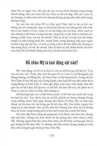 châu Phi và ngựa Vtằn, đến tốc độ của xe hoi bình thưcmg cũng không
nhanh bằng. Bcáo săn châu Phi lúc chạy tư thê rất đẹp, bốn chi vưon ra
các hướng, cả thân như trên một đường thắng, giống như chữ nhất trong
không trung.
Tại sao báo săn châu Phi kại chạy giỏi? Đầu tiên Icà do cơ thể cao
thẳng của nó, trong khi chạy có thể gitảm bớt lực cán không khí. Đặc biệt
nó có sức mạnh ở 4 clai, cùng vói sự cân bằng của cái đuôi, chân vươn ra
của chúng có thể bcámxuống mặt đất vững chắc và ổn định vì đã làm cho
chúng có thể chạy vói tốc độ nhanh. Thứ ba là nó có một trái tim kliỏe
mạnh và một buồng phổi lớn, mạnh khỏe, trong khoảng thời gian ngắn
có thể cung cấp đủ ôxy, về mặt cơ năng sinh lí đã bcảo đảm cho chúng có
khả năng chcỊy vói tốc độ nhanh. Đây là một vài đặc điểm khiến cho báo
săn châu Phi trở thcành động vật chạy nlianh nhất hành tinh.
HỔ châu Mỹ là loài động vật nào?
Hổ - locài động vật chí có ở châu Á vốn có một tên gọi rất đẹp là: "Vua
của các loài vật". Trước đây trên thê giói chỉ có 5 loài Icà: hổ Mengjiala, hổ
Đông Dương, hổ Đông Bắc, hổ Hoa Nam và hổ Sumendaxi. Trong đó hổ
Hoa Nam là loài hố quỹ của Trung Quốc, năm loài Hổ này đều phân bố ở
vùng Đòng và Nam châu A. Theo ghi chép, mấy chục năm trước, trên thê
giói chỉ có hổ Lihai, hổ Quawa và hổ Bali. Ba loài Hổ này chỉ phân bố ở
châu Á, còn các châu lục khác đều không có.
Hổ thường dựa vào cơ thể khỏe mcạnh, vẻ bề thế của mình để xưng
bá trên lục địa. Tuy nhiên cho dù có khí phách oai hùng nhưng chúng
cũng không tránh khỏi gặp những khó khăn, ớ chcàu Mỹ có một loài
động vật họ mèo rất nổi tiếng gọi là hổ châu Mỹ. Rất nhiều người cho
rằng nó là một thành viên của họ lahà hổ. Nhưng trên thực tế nó không
thực sự là hổ, cũng không phải là báo mcà là một loài mãnh thú khác.
Hổ châu Mỹ hìnla dáng thì giông hổ, kích thước nhỏ hơn hổ, nhưng
lớn hơn báo, những vằn trên mình nó thì giống báo, sinla sống ở châu
Mỹ. Những ngưòi bản địa chưa nhìn thấy con hổ thực sự bao giờ, thế là
gọi chúng là hổ châu Mỹ. Vì những vằn trên mình chung tương tự như
bcáo, nên có ngưòi gọi chúng Icàbáo châu Mỹ.
- 152
 