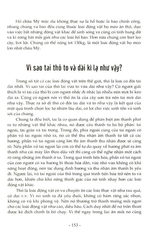 Hổ châu Mỹ mặc dù không thực sự là hổ hoặc là báo chínli cống,
nhưng chúng và báo đều cùng thuộc loài động vật họ mèo ăn thịt, dựa
vào việc bắt những động vật khác để sinla sống và cũng có tính hung dữ
và kĩ năng bắt mồi giỏi như các loài hổ báo. Hon nữa chúng còn biết leo
cây, boi lội. Chúng có thê nặng tcVi 130kg, là một loài động vật họ mèo
lớn nhất châu Mỹ.
Vì Sâo tai thố to và dài kì lạ như vậy?
Trong số tất Ccả các loài động vật trên thế giói, thỏ là loài có đôi tai
dài nhất. Vì sao tai của thỏ lại vừa to vừa dài như vậy? Có người giải
thích là vì tai của thỏ bị con ngưòi nhấc đi nhấc lại nhiều nên mói bị kéo
dài ra. Cũng có ngưòi nói vì thỏ ăn lá của cây sơn trà nên tai mói dài
như vậy. Thực ra sở dĩ thỏ có đôi tai dài và to như vậy là kết quả của
một quá trình chọn lọc tự nhiên lâu dài, có lọi cho việc sinh tồn và sinh
sôi của chúng.
Chúng ta đều biết, tai là cơ quan dùng để phân biệt âm thanh phát
ra từ những vật thể kliác nhau, nó được cấu thànli từ ba bộ phận: tai
ngoài, tai giữa và tai trong. Trong đó, phía ngoài cùng của tai ngoài có
phần vỏ tai ngoài nliô ra, nó có thể thu nhận âm thanh từ tất cả các
hướng, phần vỏ tai ngoài càng lớn thì âm thanh thu nhận được sẽ càng
rõ. Nếu phần vỏ tai ngoài lại còn có thể tự do quay về hướng phát ra âm
thanh như cái máy lần theo dấu vết thì càng có thể nghe nhận một cách
rõ ràng những âm thanh ở xa. Trong quá trình tiến hóa, phần vỏ tai ngoài
của con ngưòi có xu hướng bị thoái hóa dần, vừa nhỏ vừa không có khả
năng hoạt động, nên tác dụng định hưóng và thu nhận âm thanh bị yếu
đi. Ngược lại, vỏ tai ngOcài của thỏ trong quá trình tiến hóa trở nên to và
dài hơn, khiến cho khá năng thứih giác của nó tinli nhạy hơn các loài
động vật khác.
Thỏ là loài động vật có vú chuyên ăn các loài thực vật như rau quả,
cỏ dại v.v. Vì nó sinh ra đã yếu đuối, không có hàm răng sắc nhọn,
không có vũ khí phòng vệ. Nên nó thường trở thành miếng mồi ngon
cho các loài động vật như cáo, diều hâu. Cách duy nhất để nó trốn thoát
được kẻ địch chính là bỏ chạy. Vì thế ngay trong lúc ăn mồi nó cũng
- 153 -
 