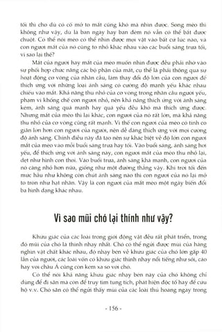 tối thì cho dù có cố mở to mắt cũng khó mà nhìn đưọc. Song mèo thì
không như vậy, dù là ban ngày hay ban đêm nó vẫn có thể bcắt được
chuột. Có thể nói mèo có thể nhìn được mọi vật vào bất cứ lúc ncào, và
con ngưoi mắt của nó cũng to nhỏ khác nhau vào các buổi sáng trưa tối,
vì sao lại thế?
Mắt của người hay mắt của mèo muốn nhìn được đều phải nhờ vào
sự phối họp chức năng các bộ phận của mắt, cụ thể là phái thông qua sự
hoạt động co vòng của nhãn cầu, Icàm thay đổi độ lớn của con ngưod để
thích úng vói những loại áida sáng cỏ cưcmg độ mạnh yếu khác nhau
chiếu vào mắt. Khá năng thu ivhỏ của cơ vòng trong nhãn cáu ngưòi yếu,
phạm vi khống chế con ngươi nhỏ, nên khcá năng thích img với ánh sáng
kém, ánh sáng quá mạnh hay qucá yếu đều khó mà thích ứng được.
Nhưng mắt của mèo thì lại khcác, con ngươi của nó rất IcVn, mà khả năng
thu nhỏ của cơ vòng cũng rất mạnh. Vì thê con ngươi của mèo có tính co
giãn kVn hon con ngươi của người, nên dễ dàng thích ứng với mọi cường
độ ánh sáng. Chính điều ncày đã tcỊonên sự khác biệt về độ lớn con ngươi
mắt của mèo vào mỗi buổi sáng trưa hay tối. Vào buổi sáng, ánla sáng hơi
yếu, để thích ứng vói ánh sáng này, con ngưoi mcắt của mòo thu nhỏ lại,
dẹt như hình con thoi. Vào buổi trưa, ánh Scáng khá mạnh, con ngươi của
nó càng nhỏ hon nữa, giống như một đưcmg thẳng vậy. Khi trời tối đến
mức hầu như không còn chút cánli sáng nào thì con ngươi của nó kại mở
to tron như hạt nhãn. Vậy là con ngươi của mắt mèo một ngày biến đổi
ba hình dạng khác nhau.
Vì SdO mũi chó lại thính như vậy?
Khứu giác của Ccác loài trong giói động vật đều rất phát triển, trong
đó mũi của chó là thính nhạy nhát. Chó có thể ngửi được mùi của hàng
ngh'm vật chất khác nhau, độ nhạy bén về khứu giác của chó lớn gấp 40
lần của ngưòi, các loài vốn có khứu giác thừih nhạy nổi tiếng như sói, cáo
hay voi châu A cũng còn kém xa so vói chó.
Có thể nói khả năng klaứu giác nhạy bén này của chó không chỉ
dùng để đi săn mà còn để truy tìm tung tích, phát hiện độc tố hay để cứu
hộ v.v. Chó săn có thể ngửi thấy mùi của các loài thú hoang ngay trong
- 156-
 