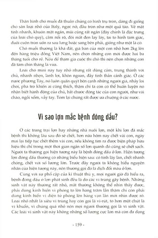 Thân hình chó muỗi đã thuần chủng có hìnli trụ tròn, dáng đi giông
chỏ săn loại nJiỏ của Italy, ngực nở, đầu tròn niaư một quả táo. vẻ mặt
tinli nliaidi, kliuôn mặt ngắn, mũi cũng rất ngắn (đây chính là đặc trưng
của locài chó quý), cằm nổi rõ, đôi niíắt đen lay láy, tai to hình tam giác,
đuôi cuộn tròn uốn ra sau kmg hoặc sang bên phải, giống như một lá cờ.
Chc) muồi thường Icà khá đắt, giá bán của một con nhỏ hon 2kg lên
đến hcàng triệu đồng Việt Nam, nôn chọn những con mói đưọc hai ba
tháng tuổi cho rẻ. Nếu để tham gia cuộc thi chó thì nên chọn những con
đã tám chín tháng kà vừa.
Loài chó mini này tuy nhỏ nhưng rất dũng cám, trung thành vói
chủ, nhanh nlaẹn, lanh k.yi, khôn ngoan, đầy tinli thần cảnh giác, ơ các
nước phương Tây, nó luôn quấn quýt bên cạnla những ngưòi già, nhcảy loi
choi, pha trò khiến ai cũng thích, thậm chí ta còn có thể huấn luyện nó
nhận biết hànli động của chủ, bắt chước động tác của con người, nliư vái
chcào, ngồi xổm, vẫy tay. Tóm lại chúng rất được ưa chuộng ở các nước.
Vì Sdo lợn mắc bệnh đóng dấu?
ớ các trang trại krn hay những nhcà nuôi lợn, một khi lọn đã mắc
bệnh thì không kâu sau đó sẽ chết, hơn nữa hôm nay chết vài con, ngày
mai kại tiếp tục chết thêm vài con, nếu kliông tìm ra được biện pháp hữu
hiệu thì chỉ trong một thòi gian ngcắn số lọn quanh đó cũng sẽ chết sạch.
Người ta thường gọi hiện tượng này Icàbệnh đóng dấu ở lọn. Hiện tượng
lợn đóng dấu thưcmg có những biểu hiện sau; có tính lây lan, chết nhanh
chóng, chết vcM sỏ lượng lớn. Trước đây người ta không hiểu nguyên
nhân của hiện tưcmg n<ày, nên thường gọi đó kà dịch đổi màu ở lợn.
Cùng với sự phổ cập của kĩ thuật thú y, mọi ngưòi giờ đcã hiểu ra,
bệnh đóng dấu ớ l(Ịn phcát sinh đều Icà do các vi trùng gcây bệnh. Những
sinh Vcật này thường rất nhỏ, mcắt thưcmg không thể nhìn thcấy được,
phcải dùng kính hiển vi phóng to lên hàng trăm Icằn thậm chí còn phcải
dùng kính hiổn vi điện tủ phóng lèn hcàng vạn lần mcVi nhìn được rõ.
Loại nhỏ nhất là siêu vi trùng hay còn gọi là vi-rút, to hon một chút là
vi khucẩn, vì chúng quá nhỏ nên mọi người thườiìg gọi là vi sinh vật.
Các loài vi sinh Vcật Iicày không những số lượng cực lớn mà còn đa dcỊng
- 159
 