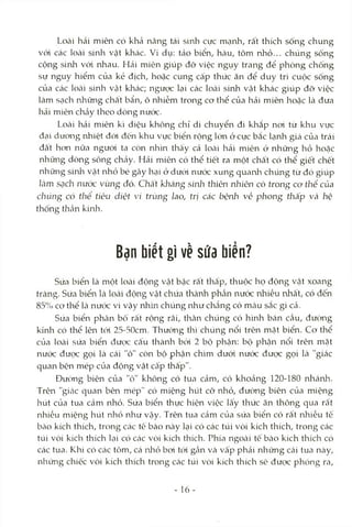 Loài hải miên có khả năng tái sinh cực mạnh, rất thích sống chung
vói các loài sinh vật khác. Ví dụ: tảo biển, hàu, tôm nhỏ... chúng sống
cộng sinh vói nhau. Hải mièn giúp đỡ việc ngụy trang để phòng chống
sự nguy hiểm của kẻ địch, hoặc cung cấp thức àn để duy trì cuộc sống
của các loài sinh vật khác; ngược lại các loài sứih vật khác giúp đỡ việc
làm sạch những chất bẩn, ô nhiễm trong cơ thể của hải miên hoặc là đưa
hải miên chảy theo dòng nưóc.
Loài hải miên kì diệu không chỉ di chuyển đi khắp nơi từ khu vực
đại dương rừiiệt đói đến khu vực biển rộng lớn ở cực bắc lạnh giá của trái
đất hơn nữa người ta còn nhìn thấy cả locài hải miên ở những hồ hoặc
những dòng sông chtảy. Hải miên có thể tiết ra một chất có thể giết chết
những sinh vật nhỏ bé gây hại ở dưới nước xung quanh chúng từ đó giúp
làm sạch nước vùng đó. Chất kháng sinii thiên nhiôn có trong cơ thể của
chúng có thể tiêu diệt vi trùng lao, trị các bệnh về phong thấp và hệ
thống thần kinli.
Bạn biết gì về súa biển?
Sứa biển là một loài động vật bậc rất thấp, thuộc họ động vật xoang
tràng. Sứa biển là loài động vật chứa thành phcần nước nhiều rủìất, có đến
85% cơ thể là nước vì vậy nhìn chúng như chẳng có màu sắc gì cả.
Sứa biển phân bố rất rộng rãi, thân chúng có h'mh bán cầu, đường
kính có thể lên tới 25-50cm. Thường thì chúng nổi trên mặt biển. Cơ thể
của loài sứa biển đưcỊC cấu thành bởi 2 bộ phận: bộ phận nổi trên mặt
nước đưọc gọi là cái "ô" còn bộ phận chìm dưới nước được gọi là "giác
quan bên mép của động vật câ'p thấp".
Đường biên của "ô" không có tua cảm, có khoảng 120-180 nhánh.
Trên "gitác quan bên mép" có miệng hút cỡ nhỏ, đường biên của miệng
hút của tua cảm nhỏ. Sứa biển thực hiện việc lấy thức ăn thông qua rất
nhiều miệng hút nhỏ như vậy. Trên tua cảm của sứa biển có rất nhiều tế
bào kích thích, trong các tê bào này lại có các túi vòi kích thích, trong các
túi vòi kích thích lại có các vòi kích thích. Phía ngoài tế bào kích thích có
các tua. Khi có các tôm, cá nliỏ bơi tỏi gần và vấp phải những cái tua này,
những chiếc vòi kích thích trong các túi vòi kích thích sẽ được phóng ra.
- 16-
 