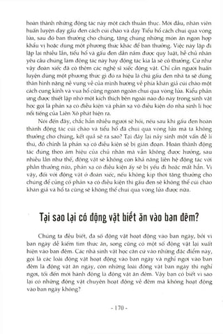 hoàn thành những động tác này một cách thuần thục. Mói đầu, nhân viên
huấn luyện dạy gấu đen cách cúi chào và dạy Tiểu hổ cách chui qua vòng
lửa, sau đó ban thưởng cho chúng, tặng chúng những món ăn ngon họp
khẩu vị hoặc dùng một phưong thức khác để ban thưởng. Việc này lặp đi
lặp lại nhiều lần, tiểu hổ và gấu đen dần nắm đưọc quy luật, hễ chủ nlaàn
yèu cầu chúng làm động tác này hay động tác kia là sẽ có thưởng. Cứ như
vậy đoàn xiếc đã có thêm các nghệ sĩ xiếc động vật. Chỉ cần ngưòi huấn
luyện dùng một phưoiag thức gì đó ra hiệu Icàchú gấu đen nhà ta sẽ dùng
thân hình ncặng nề vụng về của mình hướng về phía klián gicảcúi chào một
cách cung kmh và vua hổ cũng ngoan ngoãn chui qua vòng lửa. Kiểu phản
ứng được thiết lập nliờ một kích thích bên ngoài nào đó này trong sinh vật
học gọi là phản xạ có điều kiện và phản xạ vô điều kiện do nhà sinh lí học
nổi tiếng của Liên Xô phát hiện ra.
Nói đến đây, chắc hẳn nhiều người sẽ hỏi, nếu sau khi gấu đen hoàn
thcành động tác cúi chào và tiểu hổ đã chui qua vòng lửa mà ta kliông
thưỏng cho chúng, kết quả sẽ ra sao? TcỊÌ đây lại nảy sinh một vấn đề lí
thú, đó chính là phán xạ có điều kiện sẽ bị gicán đoạn. Hoàn thành động
tác đúng theo ám hiệu của chủ nhân mà vẫn không được hưởng, sau
nhiều lần như thế, động Vcật sẽ không còn khá năng liên hệ động tác với
phần thưởng nửa, phản XcỊ có điều kiện cấy sẽ bị yếu đi hoặc mất hẳn. Vì
vậy, đối vói động Vcật ở đoàn xiếc, nếu không kịp thời tặng thưởng cho
chúng để củng cố phản xạ có điều kiện thì gấu đen sẽ không thể cúi chcào
khán giả và hổ ta cũng sẽ không thể chui qua vòng lửa được nữa.
Tại sao lại có động vật biết ăn vào ban đêm?
Chúng ta đều biết, đa số động vật hoạt động vào ban ngcìy, bỏi vì
ban ngày dễ kiếm tìm thức ăn, song cũng có một số động vật lại xuất
hiện vào ban đêm. Các nhà sinh vật học căn cứ vào nliững đặc điểm này,
gọi là các loài động vật hoạt động vào ban ngày và nghỉ ngoi vào ban
đêm là động vật ăn ngày, còn những locìi động vật ban ngày thì nghỉ
ngoi, tối đến mói hành động Icàđộng vật ăn đèm. Vậy bạn có biết vì sao
lcỊÌ có những động vật chuyên hoạt động về đêm mà không hoạt động
vào ban ngày không?
- 170-
 