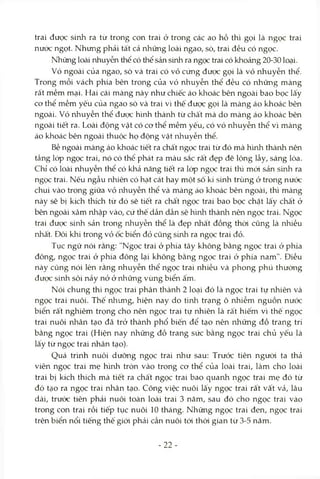 trai được sinh ra từ trong con trai ở trong các ao hồ thì gọi là ngọc trai
nước ngọt. Nhưng phải tất cả những loài ngao, sò, trai đều có ngọc.
Những loài nhuyễn thể có thể sản sứih ra ngọc trai có khoảng 20-30 loại.
Vỏ ngoài của ngao, sò và trai có vỏ cứng được gọi là vỏ nhuyễn thể.
Trong mỗi vách phía bên trong của vỏ nhuyễn thể đều có những màng
rất mềm mại. Hai cái màng này như chiếc áo khoác bên ngoài bao bọc lấy
co thể mềm yếu của ngao sò và trai vì thế được gọi là màng áo khoác bên
ngoài. Vỏ nhuyễn thể được h'mh thành tù chất mà do màng áo khoác bên
ngoài tiết ra. Loài động vật có cơ thể mềm yếu, có vỏ nhuyễn thể vì màng
áo khoác bên ngoài thuộc họ động vật nhuyễn thể.
Bề ngoài màng áo khoác tiết ra chất ngọc trai từ đó mà hình thành nên
tầng lóp ngọc trai, nó có thê phát ra màu sắc rất đẹp đẽ lộng lẫy, sáng lòa.
Chỉ có loài nhuyễn thể có khả năng tiết ra lóp ngọc trai thì mói sản sinh ra
ngọc trai. Nếu ngẫu nhiên có hạt cát hay một số kí smh trùng ở trong nước
chui vào trong giữa vỏ nhuyễn thể và màng áo khoác bên ngoài, thì màng
này sẽ bị kích thích từ đó sẽ tiết ra chất ngọc trai bao bọc chặt lấy chất ở
bên ngoài xâm nhập vào, cứ thế dần dần sẽ hình thành nên ngọc trai. Ngọc
trai được sinh sản trong nhuyễn thể là đẹp nhất đồng thòi cũng là nhiều
nhất. Đôi khi trong vỏ ốc biển đỏ cũng sinh ra ngọc trai đỏ.
Tục ngữ nói rằng: "Ngọc trai ở phía tây không bằng ngọc trai ở phía
đông, ngọc trai ở phía đồng lại không bằng ngọc trai ở phía nam". Điều
này cũng nói lên rằng nhuyễn thể ngọc trai nhiều và phong phú thường
được sirửi sôi nảy nở ở những vùng biển ấm.
Nói chung thì ngọc trai phân thành 2 loại đó là ngọc trai tự nhiên và
ngọc trai nuôi. Thế nhưng, hiện nay do tình trạng ô nhiễm nguồn nước
biển rất nghiêm trọng cho nên ngọc trai tự nhiên là rất hiếm vì thê ngọc
trai nuôi nhân tạo đã trở thành phổ biến để tạo nên nhũng đồ trang trí
bằng ngọc trai (Hiện nay những đồ trang sức bằng ngọc trai chủ yếu là
lấy từ ngọc trai nhân tạo).
Quá trình nuôi dưỡng ngọc trai như sau: Trước tiên ngưòi ta thả
viên ngọc trai mẹ hình tròn vào trong cơ thể của loài trai, làm cho loài
trai bị kích thích mà tiết ra chất ngọc trai bao quanh ngọc trai mẹ đó từ
đó tạo ra ngọc trai nhân tạo. Công việc nuôi lấy ngọc trai rất vất vả, lâu
dài, trước tiên phải nuôi toàn loài trai 3 năm, sau đó cho ngọc trai vào
trong con trai rồi tiếp tục nuôi 10 tháng. Những ngọc trai đen, ngọc trai
trên biển nổi tiếng thế giới phải cần nuôi tói thòi gian từ 3-5 năm.
- 22-
 