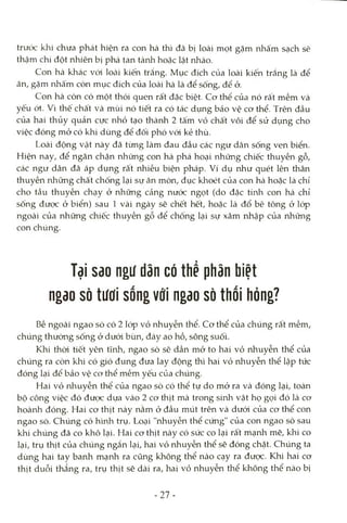 trước khi chưa phát hiện ra con hà thì đã bị loài mọt gặm nhấm sạch sẽ
thậm chí đột nhiên bị phá tan tành hoặc lật nhào.
Con hà khác vói loài kiến trắng. Mục đích của loài kiến trắng là để
ăn, gặm nhấm còn mục đích của loài hà là để sống, để ở.
Con hà còn có một thói quen rất đặc biệt. Cơ thể của nó rất mềm và
yếu ớt. Vì thế chất và mùi nó tiết ra có tác dụng bảo vệ cơ thể. Trên đầu
của hai thủy quản cực nhỏ tạo thành 2 tấm vỏ chất vôi để sử dụng cho
việc đóng mở có khi dùng để đối phó vói kẻ thù.
Loài động vật này đã từng làm đau đầu các ngư dân sống ven biển.
Hiện nay, để ngăn chặn những con hà phá hoại những chiếc thuyền gỗ,
các ngư dân đã áp dụng rất nhiều biện pháp. Ví dụ như quét lên thân
thuyền những chất chống lại sự ăn mòn, đục khoét của con hà hoặc là chỉ
cho tầu thuyền chạy ở những cảng nước ngọt (do đặc tính con hà chỉ
sống được ở biển) sau 1 vài ngày sẽ chết hết, hoặc là đổ bê tông ở lóp
ngoài của những chiếc thuyền gỗ để chống lại sự xâm nhập của những
con chúng.
Tại Sdo ngư dân có thể phân biệt
ngao sò tưưi sốngV0i ngao sò thói hỏng?
Bề ngoài ngao sò có 2 lóp vỏ nhuyễn thể. Cơ thể của chúng rất mềm,
chúng thường sống ở dưói bùn, đáy ao hồ, sông suối.
Khi thòi tiết yên tĩnh, ngao sò sẽ dần mở to hai vỏ nhuyễn thể của
chúng ra còn khi có gió đung đưa lay động thì hai vỏ nhuyễn thể lập tức
đóng lại để bảo vệ cơ thể mềm yếu của chúng.
Hai vỏ nhuyễn thể của ngao sò có thể tự do mở ra và đóng lại, toàn
bộ công việc đó được dựa vào 2 cơ thịt mà trong sinh vật họ gọi đó là cơ
hoành đóng. Hai cơ thịt này nằm ở đầu mút trên và dưới của cơ thể con
ngao sò. Chúng có hình trụ. Loại "nhuyễn thể ciíng" của con ngao sò sau
khi chúng đã co khô lại. Hai cơ thịt này có sức co lại rất mạnh mẽ, khi co
lại, trụ thịt của chúng ngắn lại, hai vỏ nhuyễn thể sẽ đóng chặt. Chúng ta
dùng hai tay banh mạnh ra cũng không thể nào cạy ra được. Khi hai cơ
thịt duỗi thẳng ra, trụ thịt sẽ dài ra, hai vỏ nhuyễn thể không thể nào bị
- 27-
 