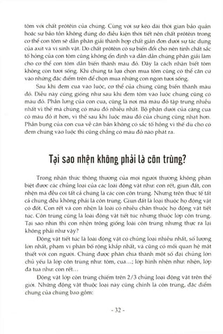 tôm vói chất prôtêin của chúng. Cùng vói sự kéo dài thòi gian bảo quản
hoặc sự bảo tồn không đúng do điều kiện thòi tiết nên chất prôtêin trong
cơ thể con tôm sẽ dần phân giải thàrửi họp chất giản đon dưói sự tác dụng
của axít và vi sinh vật. Do chất prôtêin có sự biến đổi cho nên từih chất sắc
tố hồng của con tôm cũng không ổn định và dần dần chúng phân giải làm
cho cơ thể con tôm dần biến thành màu đỏ. Đây là cách nlaận biết tôm
không còn tưoi sống. Khi chúng ta lựa chọn mua tôm cũng có thể căn cứ
vào những đặc điểm trên để chọn mua những con ngon tươi sống.
Sau khi đem cua vào luộc, cơ thể của chúng cũng biến thành màu
đỏ. Điều này cũng giống như sau khi đem tôm vào luộc chúng cũng có
màu đỏ. Phần lưng của con cua, cũng là noi mà màu đỏ tập trung nhiều
nhất vì thế mà chúng có màu đỏ nhiều nhất. Bộ phận dưới của càng cua
có màu đỏ ít hơn, vì thế sau khi luộc màu đỏ của chúng cũng rửiạt hơn.
Phần bụng của con cua về căn bản không có sắc tố hồng vì thế dù cho có
đem chúng vào luộc thì cũng chẳng có màu đỏ nào phát ra.
Tại sao nhện không phải là côn trùng?
Trong nhận thức thông thường của mọi ngưòi thường không phân
biệt được các chủng locTi của các loài động vật như: con rết, giun đất, con
nhện mà đều coi tất cả chúng là các con côn trùng. Nhưng trên thực tế tất
cả chúng đều không phải là côn trùng. Giun đất là locỊi thuộc họ động vật
có đốt. Con rết và con nhện là loài có nhiều chân thuộc họ động vật tiết
túc. Côn trùng cũng Icàloài động vật tiết túc nhưng thuộc lóp côn trùng.
Tại sao nhìn thì con nhện trông giống loài côn trùng nhưng thực ra lại
không phải nlaư vậy?
Động vật tiết túc là loài động vật có chủng loại nhiều nhất, sô lượng
lớn nhất, phạm vi phân bố rộng khắp nhất, và cũng có mối quan hệ mật
thiết vói con ngưòi. Chúng được phân chia thcành một số đại chủng lớn
chủ yếu Icàlóp côn trùng như: tôm, cua...; lóp hình nliện như: nhện, lóp
đa tua nliư: con rết...
Động vật lóp côn trùng chiếm trên 2/3 chủng loại động vật trên thê
giói. Những động vật thuộc loại này cũng chính là côn trùng, đặc điểm
chung của chúng bao gồm:
32-
 