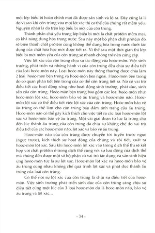 một lóp biểu bì hoàn chỉnh mód đã được sản sữứi và lộ ra. Đây cũng là lí
do vì sao khi côn trùng vừa mói lột xác thì cơ thể của chúng rất mềm yếu.
Nguyên nhân là do trên lóp biểu bì mói của côn trùng.
Thành phần chủ yếu trong lóp biểu bì mới là châ't prôtêin mềm mại,
có khả năng dung hòa trong nước. Sau này một bộ phận chất prôtêin đó
sẽ biến thành chất prôtêin cứng không thể dung hòa trong nước dưód tác
dụng của chất hóa học mói được tiết ra. Vì thế sau một thòi gian thì lóp
biểu bì mói mềm yếu của côn trùng sẽ nhanh chóng trở nên cứng cáp.
Việc lột xác của côn trùng chịu sự tác động của hoóc-môn. Việc sinh
trưởng, phát triển và những hành vi của côn trùng đều chịu sự điều tiết
của loài hoóc-môn này. Loại hoóc-môn này thông thường được chia làm
2 loại: hoóc-môn bên trong và hoóc-môn bên ngoài. Hoóc-môn bên trong
do cơ quan phân tiết bên trong của cơ thể côn trùng tiết ra. Nó có vai trò
điều tiết các hoạt động sống như hoạt động sinh trưởng, phát dục, sinh
sản của côn trùng. Hoóc-môn bên trong bao gồm các loại hoóc-môn như:
hoóc-môn lột xác, hoóc-môn bảo vệ ấu trùng và hoóc-môn não. Hoóc-
môn lột xác có thể điểu tiết việc lột xác của côn trùng. Hoóc-môn bảo vệ
ấu trùng có thể làm cho côn trùng bảo đảm tình trạng của ấu trùng.
Hoóc-môn não có thể gcây kích thích cho việc tiết ra các locỊi hoóc-môn lột
xác và hoóc-môn bảo vệ cấu trùng. Một vài giai đoạn từ lúc là trứng cho
đến lúc thànla ấu trùng của côn trùng đã chịu sự không chế do vai trò
điều tiết của các hoóc-môn não, lột xác và bảo vệ ấu trùng.
Hooc-môn não của côn trùng được chuyển tới tuyến trước ngực
(ngực trước), kích thích sự hoạt động của chúng và rồi tiết, xuất ra
hooc-môn lột xác. Sau khi hooc-môn lột xác Vcào trong dịch thể thì sẽ kết
họp vcVi chất prôtêin ớ trong dịch thể cùng với sự lưu động của dịch thê
mà chúng đến được một số bộ phận có vai trò tác dụng và sản sinh hiệu
ứng hooc-món tức là sự lột Xcác. Hooc-môn lột xác và hooc-môn bảo vệ
ấu trùng cùng nhau khống chê quá trình lột xác và phát dục thành ấu
trùng của loài côn trùng.
Có thể nói sự lột xác của côn trùng là chịu sự điều tiết của hooc-
môn. Việc sinh trướng phát triển sinh dục của côn trùng càng chịu sự
điều tiết cùng một lúc của 3 loại hooc-mỏn đó là hooc-môn não, bcảo vệ
ấu trùng và lột xác...
- 34-
 