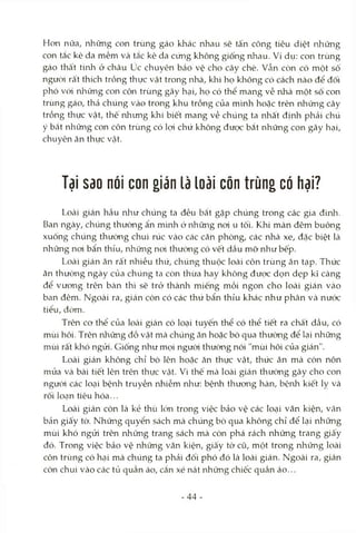 Hon nữa, những con trùng gáo khác nhau sẽ tấn công tiêu diệt những
con tắc kè da mềm và tắc kè da cứng không giống nhau. Ví dụ: con trùng
gáo thất tinh ở châu úc chuyên bảo vệ cho cây chè. vẫn còn có một số
ngưòi rất thích trồng thực vật trong nhà, khi họ không có cách nào để đối
phó V(ái những con côn trùng gây hại, họ có thể mang vẻ nhà một sô con
trùng gáo, thả chúng vào trong khu trồng của mình hoặc trên những cây
trồng thực vật, thế nhưng khi biết mang về chúng ta nhất định phải chú
ý bắt những con côn trùng có lọi chứ không được bắt những con gây hại,
chuyên ăn thực vật.
Tại Sdo nói con gián là loài côn trùng có hại?
Loài gián hầu nlaư chúng ta đều bắt gặp chúng trong các gia đình.
Ban ngày, chúng thưòng ẩn mình ở những noi u tối. Khi màn đêm buông
xuống chúng thường chui rúc vào các căn phòng, các nhà xe, đặc biệt là
những noi bẩn thỉu, lìhững noi thường có vết dầu mỡ như bếp.
Loài gián ăn rất nhiều thứ, chúng thuộc loài côn trùng ăn tạp. Thức
ăn thường ngày của chúng ta còn thừa hay không được dọn dẹp kĩ càng
để vương trên bàn thì sẽ trở thành miếng mồi ngon cho loài gián vào
ban đêm. Ngoài ra, gián còn có các thứ bẩn thỉu khác như phân và nước
tiểu, dòm.
Trên cơ thể của loài gián có loại tuyến thể có thể tiết ra chất dầu, có
mùi hôi. Trên những đồ vật mà chúng ăn hoặc bò qua thường để lại những
mùi rất khó ngửi. Giống như mọi người thường nói "mùi hôi của gián".
Loài gián không chỉ bò lên hoặc ăn thực vật, thức ăn mà còn nôn
mửa và bài tiết lên trên thực vật. Vì thế mà loài gián thưòng gây cho con
người các loại bệnh truyền nhiễm như: bệnh thương hàn, bệnh kiết lỵ và
rối locỊn tiêu hóa...
Loài gián còn là kẻ thù lớn trong việc bảo vệ các loại văn kiện, văn
bản giấy tờ. Những quyển sách mà chúng bò qua không chỉ để lại những
mùi khó ngửi trên những trang sách mà còn phá rách những trang giấy
đó. Trong việc bảo vệ những văn kiện, giấy tờ cũ, một trong những loài
côn trùng có hại mà chúng ta phải đối phó đó là loài gián. Ngoài ra, gián
còn chui vào các tủ quần áo, cắn xé nát những chiếc quần áo...
-44 -
 