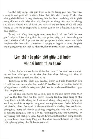 Có thể thấy rằng, loài gián thực sự là côn trùng gây hại. Như vậy,
chúng ta cần phải đề ra nhiều biện pháp tiêu diệt chúng. Ví dụ, cho
những chất diệt côn trùng vào trong thức ăn, làm cho chúng khi ăn phải
trúng độc mà chết. Mặt khác, dụ cho gicán ra dùng cái chụp bắt chúng
sau đó thả chúng vào chất có độc hoặc có thể sử dụng thuốc để đuổi
chúng đi làm cho chúng không dám tiến gần tói noi để quần áo, sách vở,
thực phẩm...
Trong cuộc sống hàng ngày của chúng ta, có thể qua "mùi hôi của
gián" để phát hiện những thức ăn, thực phẩm, giấy, quần áo mà bị gián
làm ô nhiễm từ đó kịp thòi có biện pháp xử lí nhằm tránh các bệnh
truyền nhiễm do các loài côn trùng có hại gây ra. Ngoài ra, cũng cần phải
chú ý giữ gìn vệ sinli sạch sẽ nhà cửa, duy trì thức ăn sạch sẽ, tưoi sống...
Làm thế nào phân biệt giữa loài bướm
và loài bướm thiêu thân?
Cả loài bướm và locài bướm thiêu thân đều có đôi cánh vói màu sắc
sặc sờ. McVi nhìn qua thì rất khó phân biệt được. Nhưng trên thực tế
chúng là hai loại có sự khác nhau rõ rệt.
Từ kết cấu cơ thể, phần đầu của loài bướm và bướm thiêu thân đều
có một đcĩi xúc tu, sự kliác biệt ở chỗ: Phần đầu xúc tu của loài bướm to
giống nliư cái dùi đánh trống; còn phần xúc tu của bướm thiêu thân ngày
nhọn về phía trước.
Cơ thể của loài bướm dài Vcà mịn, còn cơ thể của bướm thiêu thân
ngắn Vcà thô. Đôi cánh của locài bướm thì rộng klii bay cánh dang ra như
đang klriêu vũ. Klai dừng lại, 2 đôi Ccánh dựng thẳng vuông góc ở phía
sau lưng, cánh trước ở phía trong cánli sau ở phía ngoài. Có lúc trên dưới
đổi chỗ cho nlrau. Dôi cánh của bướm thiêu thân nhỏ hẹp hon loài bướm,
chúng bay tương đối ivlianh, có chút gì đó giống như loài ruồi không đàn
đi đến đâu cũng bay loạn xạ đến đó. Không giống như loài bướm bay lên
bay xuống một cách yêu kiều, đẹp đẽ. Khi bướm thiêu thân dừirg lại nghỉ
ngoi cánh sau của chúng lồng lên phía dưói của cánh trước tạo thcànli 2
mặt nghiêng giông như đỉnh của mái nhà.
-45 -
 