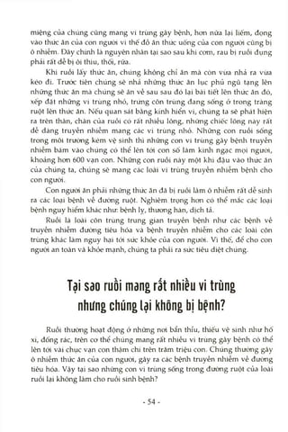miệng của chúng cũng mang vi trùng gây bệnh, hon nữa lại liếm, đọng
vào thức ăn của con ngưòi vì thế đồ ăn thức uống của con ngưòi cũng bị
ô nhiễm. Đây chứủì là nguyên nhân tại sao sau khi cơm, rau bị ruồi đụng
phải rất dễ bị ôi thiu, thối, rửa.
Khi ruồi lấy thức ăn, chúng không chỉ ăn mà còn vừa nhả ra vừa
kéo đi. Trước tiên chúng sẽ nhả những thức ăn lục phủ ngũ tạng lên
những thức ăn mà chúng sẽ ăn về sau sau đó lại bài tiết lên thức ăn đó,
xếp đặt những vi trùng nhỏ, trứng côn trùng đang sống ở trong tràng
ruột lên thức ăn. Nếu quan sát bằng kính hiển vi, chúng ta sẽ phát hiện
ra trên thân, chân của ruồi có rất nhiều lông, những chiếc lông này rất
dễ dàng truyền nhiễm mang các vi trùng nhỏ. Những con ruồi sống
trong môi trường kém vệ sinh thì những con vi trùng gây bệnh truyền
nhiễm bám vào chúng có thể lên tói con số làm kinh ngạc mọi ngưòi,
khoảng hơn 600 vạn con. Những con ruồi này một khi đậu vào thức ăn
của chúng ta, chúng sẽ mang các loài vi trùng truyền nhiễm bệnh cho
con người.
Con ngưòi ăn phải những thức ăn đã bị ruồi làm ô nhiễm rất dễ sinh
ra các loại bệnh về đường ruột. Nghiêm trọng hơn có thể mắc các loại
bệnh nguy hiểm khác như: bệnh lỵ, thương hàn, dịch tả.
Ruồi là loài côn trùng trung gian truyền bệnh như các bệnh về
truyền nhiễm đường tiêu hóa và bệnh truyền nhiễm cho các loài côn
trùng khác làm nguy hại tói sức khỏe của con ngưòi. Vì thế, để cho con
ngưòi an toàn và khỏe mạnh, chúng ta phải ra sức tiêu diệt chúng.
Tại sao ruồi mang rất nhiều vi trùng
nhưng chúng lại không bị bệnh?
Ruồi thường hoạt động ở những noi bẩn thỉu, thiếu vệ sinh như hố
xí, đống rác, trên cơ thể chúng mang rất nhiều vi trùng gây bệrủì có thể
lên tói vài chục vạn con thậm chí trên trăm triệu con. Chúng thường gây
ô nhiễm thức ăn của con ngưòi, gây ra các bệnh truyền nhiễm về đường
tiêu hóa. Vậy tại sao những con vi trùng sống trong đường ruột của loài
ruồi lại không làm cho ruồi sinh bệnh?
-54
 