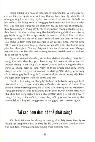 Trong đường tiêu hóa của loài ruồi có rất nhiều loài vi trùng gây hại
cho cơ thể con ngưcyi như vi trùng thưong hàn, bệnh lỵ, dịch tả, thế
nhưng những loài vi trùng này lại hocàn tOcàn vô hại vói ruồi. Lí do là bỏd
loài ruồi có hệ thống xử lí vi trùng gây bệnh một cách Imh hoạt và đặc
biệt. Các nhà côn trùng học đã phát hiện ra, sau khi ruồi ăn những loại
thức ăn có mang vi trùng gây bệnh, chúng nhanh chóng phân loại, giữ Lại
thức ăn có chất dinh dưỡng đồng thời bài tiết rứiững chất bã và vi trùng
gây bệnh ra ngoài. Tất cả quá trình lấy thức ăn, xử lí và hút chất dinh
dưỡng cho đến lúc bài tiết ra ngoài ruồi chỉ mất thòi gian từ 7-11 giây.
Đây chính là điểm khác biệt của ruồi so vói các loài khác. Đối vói động
vật có vú cả quá trình đó phải cần tới vài giờ đồng hồ, nhanh nhất cũng
phải hon chục phút. Phương pháp xử lí thức ăn vừa nhanh vừa hiệu quả
này của loài ruồi làm cho loài vi trùng có trong cơ thể chưa kịp sinh sôi
đã bị bài tiết ra ngoài.
Ngoài ra ruồi có khả năng sản sinh ra chất có khả nàng chống lại vi
trùng. Các rìhà khoa học phát hiện trong chất mà ruồi tiết ra có chất
"prôtêin chống lại sự sống của vi trùng", chúng có khả năng tiêu diệt vi
trùng và kháng bệrữi rất lớn. Ngay cả thuốc kháng sinh cũng không
bằng. Hơn nữa, trong cơ thể ruồi còn có chất "prôtêin chống lại sự sống
của vi trùng gây bệnh ung thư", nó có tác dụng rất lớn trong việc kiềm
chế ngăn chặn sự phát triển của tế bào ung thư.
Chính vì khả năng tự phòng bệnh được hình thành trong quá trình
tiến hóa lâu dài, đã tạo ra hệ thống miễn dịch rất mạnh mẽ ở ruồi. Cho
dù có ớ vào môi trường trong đó có hàng vạn vi trùng và các loại siêu vi
trùng gây bệnh khác thì ruồi không thể bị bệnh truyền nhiễm được. Các
nhà khoa học đang nghiên cứu 2 chất prôtêin chống lại sự sống của vi
trùng có trong cơ thể ruồi. Hy vọng rằng một ngày nào đó, những chất
này có thể phát huy tác dụng phòng vi trùng gây bệnh cho con ngưòi.
Tại sao đom đóm cổ thề phát sáng?
Vào buổi tối mùa hè, chúng ta thường rủììn thấy trong tán cây có
những vệt sáng nhỏ lẻ bay qua bay lại. Đó chúih là những con đom đóm.
Vào ban đêm, chúng giống như những chiếc đèn lồng nhỏ.
-55
 