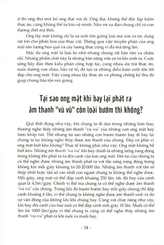 ít thì ong thợ mói bỏ ong đực mà đi. Ong đực không thể độc lập kiếm
thức ăn, cũng không thể tự bảo vệ mình. Nếu ròi xa đàn chúng chỉ có con
đưòTig chết mà thôi.
Ong lấy mật không chỉ là sự sinh tồn giống loài mà còn có tác dụng
rất lớn cho phấn hoa của thực vật. Thông qua việc truyền phấn của ong
mật sản lượng hoa quả và cây lương thực cũng vì đó mà tăng lên.
Mặc dù ong mật là loài bé nhỏ nhưng chúng rất bận rộn và chăm
chỉ. Những phẩm chất này là những bản năng vốn có từ khi sinh ra. Cuộc
sống bầy đàn theo kiểu phân công họp tác, cùng nhau dự trữ thức ăn,
nuôi dưỡng con cháu, bảo vệ tổ, đã tạo ra những điều kiện sinh tồn tốt
đẹp cho ong mật. Việc cùng nhau lấy thức ăn và phòng chống kẻ thù đã
giúp chúng bảo tồn nòi giống.
Tại Sdo ong mật khi bay lại phát ra
âm thanh "vù vù" còn loài bướm thì không?
Quả thật đúng như vậy, khi chúng ta đi dạo trong những lùm hoa,
thườiìg nghe thấy những âm thanh "vù vù" của những con ong mật bay
lượn khắp noi. Thế nhưng tại sao những con bươm bướm bay đi bay lại
chúng ta lại klaông nghe thấy được âm thanh của chúng. Đây có phải vì
ong mật biết kêu không? Thực tế không phải như vậy. Ong mật không hề
biết kêu. Những âm thanh "vù vù" khi bay chúìh là những tiếng rung động
trong không khí phát ra từ đôi cánh của loài ong mật. Đôi tai của chúng ta
có thể nghe được những âm thanh phát ra với tần sóng rung động trong
không khí mỗi giây khoảng từ 20-20.000 lần. Những âm thanh vói tần số
thâ'p nhất hoặc tần số cao nhất con người chúng ta không thể nghe đưọc.
Mỗi giây, ong mật có thể đập cánh khoảng 250 lần, tốc độ bay của cánh
quạt là 4,5m/giây. Chừih vì thế mà chúng ta có thể nghe được âm thanh
"vù vù" của chúng. Trong khi đó bươm bướm bay mỗi giây chúng chỉ đập
cánh khoảng 6 lần, vì thế chúng ta không nghe được âm thanh sinh ra do
sự vận động của không khí khi chúng bay. Cũng vói chức năng như vậy,
khi bay đôi cánh của loài ruồi có thể đập cánh mỗi giây 10 lần. Muỗi có thể
lên tói 1000 lần/giây vì thế chúng ta cũng có thể nghe thấy những âm
thanh "vù vù" phát ra khi ruồi và muỗi bay.
- 58-
 