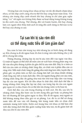 Những loài côn trùng khác nhau sẽ bay vói tốc độ nhanh chậm khác
nhau, sô lần đập cánh cũng nlrư tư thế khi bay cũng hoàn toàn khác. Vói
những côn trùng đập cánh nhanh khi bay chúng ta chỉ cảm giác nghe
tiếng "vù" rất ngắn mà không thấy được sự hoạt động trong không trung
từ đôi cánh của chúng. Thê nhưng, đối vói bưom bướm, khi bay chúng
làm con ngưòi nh'm thấy một cách rõ ràng đôi cánh dang ra thế nào và tư
thế bay của chúng ra sao.
Tại sao khi bị sâu róm đốt
có thề dùng nước tiểu để làm giảm đau?
Sâu róm là loài côn trùng tuy nhỏ nhưng lại có hình dạng rất đáng
sợ. Khi chúng ta đi dã ngoại hoặc đi choi ở công viên nếu không chú ý rất
dễ bị chúng tấn công.
Thông thường, những lóp da mà bị sâu róm đốt vừa ngứa vừa đau.
Có một số ngưòi có thể chất dễ mẫn cảm sẽ xuất hiện những phản ứng vừa
đỏ vừa như phù thũng ở phần da gần chỗ bị sâu róm đốt. Đây là vì trên cơ
thể của sâu róm có những chiếc lông độc, có claiếc mà ở phần đầu còn có
răng nhỏ. Mỗi một chiếc lông đó giống như một ống kim nhỏ, tuyến độc ở
phần gốc và phần trên cơ thể của chúng liên kết vói nhau khiến những
chiếc lông này tiết ra toàn dịch độc. Khi con người đụng phải con sâu róm,
những chiếc lông độc đó giống như mũi tên nhỏ trực tiếp cắm vào trong
lóp da của con ngưòi. Khi đó đầu nhọn bị chặt đứt, chất dịch thể độc ở
trong những chiếc lông độc lập tức chảy vào trong lóp da của con ngưòi
gây ngứa rát và đau thậm chí có thể dẫn tói chứng viêm và bị hoại tử.
Dịch thể độc của côn trùng thường có tính axít. Do đó, sau khi bị
những cliiếc lông độc bám vào ta nên dùng dầu gió hoặc xà phòng bôi
lên vết thương để làm giảm ngứa và đau. Khi đi dã ngoại, mọi ngưòi có
thể không mang theo dầu gió và xà phòng. Lúc đó ta có thể sử dụng
nước tiểu để xoa vào vết thương, bỏi trong nước tiểu có chứa chất
amôniắc mang tính kiềm. Kiềm axít trung hòa vói nhau có thể làm cho
tính độc trong dịch thể độc giảm xuống hoặc tiêu tan, từ đó giảm bớt vết
đau sau khi bị sâu róm đốt.
- 59-
 