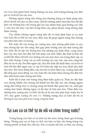 cây mía, làm giảm hàm lượng đường của mía, ảnh hưởng không nhỏ đến
giá trị kinh tế của cây mía.
Những ngưòi nông dân trồng mía thường dùng các biện pháp như
phun thuốc trừ sâu có pha rượu, nhổ bỏ những mầm mía khô héo để đối
phó vói những loài côn trùng gây hại tuy nhiên hiệu quả không cao. Bỏi
vì sâu mía đã chui vào bên trong thân cây, phun thuốc cũng không diệt
được chúng.
Tuy nhiên những ngưòi nông dân đã vô tình phát hiện ra có một
loài kiến đỏ có thể ăn sâu mía, điều này đã giúp ngưòi nông dân không
còn phải bận tâm về chúng. I
Khi kiến đỏ vào trong các ruộng mía, nếu chúng phát hiện ra sâu
mía chúng lập tức tân công. Khi gặp phải những con sâu mía tưong đối
lớn, kiến đỏ sẽ lập tức thông báo cho những con kiến khác, cùng nhau
bao vây sâu mía cho đến khi bắt được con mồi. Điều đặc biệt là kiến đỏ
có thể lần theo vết tích của lahững con sâu mía chui vào trong thân cây và
tiêu diệt chúng. Cùng vói sự sinh trưởng của cây mía, sâu mía cũng bắt
đầu ăn từ rễ cây cho đến ngọn cây. Sau khi kiến đỏ đuổi theo, nó sẽ bò từ
mặt đất lên đến ngọn cây và xây tổ ở trên đó, tiếp tục truy đuổi tiêu diệt
sâu mía. Klii mùa đông đến, sâu mía bò ra khỏi thân cây, xuống dưói đất
để sống qua mùa đông, lúc này kiến đỏ vẫn bám theo chúng cho đến khi
tiêu diệt hoàn toàn chúng mói thôi.
Kiến đỏ là loài côn trùng sống theo kiểu quần cư. Thức ăn đặc biệt
của chúng khiến cho chúng trở thành trợ thủ đắc lực cho nlìững ngưòi
nông dân trồng mía và chúng cũng trở thành đội quân bảo vệ, canh giữ
ruộng mía trước những nguy co đe dọa từ loài sâu mía. Theo điều tra,
những khu ruộng mía có kiến đỏ thì tỷ lệ sâu mía phá hoại trước kia là
10% nay giảm xuống chỉ còn ì%. Những ruộng mía có kiến đỏ thì sẽ
không bị sâu mía phá hocỊÌ trong vòng ba năm.
Tại sao cá có thể tự do nổi và chìm trong nước?
Trong bụng của loài cá có một túi khí màu trắng được gọi là bong
bóng. Thông qua sự co bóp co thịt của loài cá làm cho bong bóng của
chúng phình ra hoặc thu nhỏ lại. Khi cá muốn nổi lên, cơ thịt của chúng
-63 -
 