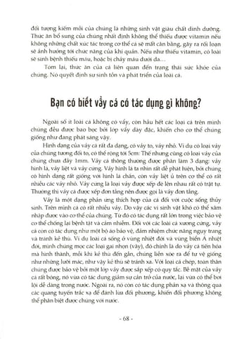 đối tượng kiếm mồi của chúng là những sinh vật giàu chất dinh dưỡng.
Thức ăn bổ sung của chúng nhất định không thể thiếu được vitamứì nếu
không những chất xúc tác trong cơ thể cá sẽ mất cân bằng, gây ra rối loạn
sẽ ảnh hưởng tói chức năng của khí quản. Nếu như thiếu vitamin, có loài
sẽ sinh bệnh thiếu mtáu, hoặc bị chảy máu dưói da...
Tóm lại, thức ăn của cá liên quan đến trạng thái sức khỏe của
chúng. Nó quyết định sự sinh tồn và phcát triển của loài cá.
Bạn có biết vẩy cá có tác dụng gì không?
Ngoài số ít loài cá không có vẩy, còn hầu hết các loại cá trên mình
chúng đều được bao bọc bởi lóp vẩy dày đặc, khiến cho cơ thể chúng
giống như đang phát sáng vậy.
H'mh dạng của vảy Ccárất đa dạng, có vảy to, vảy nhỏ. Ví dụ có loại vảy
của chúng tưong đối to, có thể rộng tói 5cm; Thế nhưng cũng có loại vảy của
chúng chưa đầy Imm. Vảy cá thông thường được phân làm 3 dạng: vảy
hình lá, vảy liệt và vảy cứng. Vảy hình lá ta nhìn rất dễ phát hiện, bỏi chúng
có hìnli dạng rất giống vói hình lá chắn, còn vảy liệt ủ trên cơ thể có rất
nhiều các vảy nlrỏ. Vảy cứng là loại vảy đưọc xếp đè lên nhau rất có trật tự.
Thưòng tliì vảy cá đưọc xếp đơn tầng nên được gọi là vảy đơn tầng.
Vảy là một dạng phản ứng thích họp của cá đối vói cuộc sống thủy
súìh. Trên mình cá có rất nhiều vảy. Do vậy các vi sứih vật khó có thể xâm
nhập được vào cơ thể của chúng. Từ đó có tác dụng rất lớn trong việc bào vệ
cơ thể chống lại bệnh tật và cảm nhiễm. Đối vói các loài cá xương cứng, vảy
cá còn có tác dụng như một bộ áo bảo vệ, đảm nhiệm chức năng ngụy trang
và tránh kẻ thù. Ví dụ loài cá sống ở vùng nhiệt đới và vùng biển Á nhiệt
đói, mình chúng mọc các loại gai nhọn (vây), đó chừủì là do vảy cá tiến hóa
mà lùnh thành, mỗi khi kẻ thù đến gần, chúng liền xòe ra để tự vệ giống
như nhũng lưõi mác, như vậy kẻ thù sẽ tránh xa. Vói loại cá chép, toàn thân
chúng đưọc bảo vệ bỏi một lóp vảy được sắp xếp có quy tắc. Bề mặt của vảy
cá rất bóng, nó vừa có tác dụng giảm sự cản trở của nưóc, lại vừa có thể boi
lội dễ dàng trong nưóc. Ngoài ra, nó còn có tác dụng phản xạ và thông qua
các quang tuyến trắc xạ để đánh lừa đối phưong, khiến đối phưong không
thể phân biệt được chiing vói nưóc.
68-
 