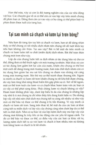 Hơn thế nữa, vảy cá còn là đối tượng nghiên cứu của các nhà động
vật học. Các chuyên gia về cá có thể căn cứ vào lóp vảy trên mình chúng
để phân loại cá. Đồng thời căn cứ vào vảy cá họ cũng có thể phân biệt và
phán đoán được tuổi của từng loại.
Tại sao mình cá chạch và lưdn lại trdn bóng?
Nếu bạn đã từng tận tay bắt cá chạch và lưon, bạn sẽ dễ dàng nhận
thấy cơ thể chúng có rất nhiều dịch nhờn nên chúng rất dễ tuột khỏi tay
nếu bạn không cẩn thận. Tại sao vậy? Bởi vì bề mặt da trên mình cá
chạch và lươn luôn tiết ra chất (miễn dịch) dịch nhờn. Bỏi thế toàn thân
chúng mói tron như vậy.
Lóp da của chúng luôn tiết ra dịch nhờn có tác dụng bảo vệ cho cơ
thể, đồng thòi có thể thích nghi vói môi trường tự nhiên. Mặt khác nó còn
có tác dụng làm giảm bớt lực cản của nước, khiến cho chúng có thể boi
một cách dễ dàng trong môi trường nước, hon nữa chất dịch nhờn còn có
tác dụng làm giảm lực ma sát khi chiíng va chạm vào những vật cứng
trong môi trường nước. Bỏi thế mà cơ thể tránh được thương tổn. Ngoài
ra mình cá chạch và lươn rất tron khiến chúng ta rất khó bắt được chúng,
do vậy làm tăng khả năng thoát hiểm khi gặp phải sự cố. Xét về bề ngoài,
một cơ thể trơn tuột của lươn và cá chạch khác hoàn toàn vói các loại cá
có vẩy có thể phát sáng khác. Phải chăng lươn và chạch không có vẩy?
Hoàn toàn không phải vậy, dưới lóp biểu bì da của chúng là nhũng lóp
vảy nhỏ li ti mà chúng ta chỉ nhìn thấy khi dùng kừứi hiển vi. Do nhũng
lóp vẩy rất nhỏ nên chất dịch mà chúng tiết ra cũng rất nhiều và như vậy
mói có thể bảo vệ được cơ thể chúng ít bị tổn thương. Vì vậy mình cá
chạch và lươn rất tron. Song trên thực tế, bề mặt da của các loài cá khác
cũng tiết ra miễn dịch và lóp vảy của chúng cũng nằm dưói lóp da có thể
tiết ra chất dịch. Nhờ có sự bảo vệ của lóp niêm dịch này mà lóp vảy của
chúng mới không bị trầy khi có tác động của các yếu tố ngoại cảnh. Từ
đó có thể bảo vệ được cơ thể, có điều vảy của các loài cá khác rất to,
lượng niêm dịch tiết ra so vói lươn và chạch ít hon nhiều nên nó không
tron bằng lưon và chạch là lẽ tất nhiên.
69-
 