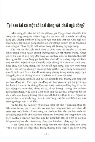 Tại sao lại có một số loài động vật phai ngủ đông?
Mùa đông đến, thoi tiết trở nên rất lạnh giá. Cùng vcMnó, rất nhiều locài
động vật sống trong tự nhiên cũng phải ẩn mình để né tránh mùa đỏng
băng giá. Chúng tránh rét bằng Ccách ngủ một giấc thíật dài. Giấc ngủ này
thưòng kéo dài từ mùa đỏng cho tói tận klii tiết tròi trở nên ấm áp thì chúng
mói tửửi giấc. Dưói đcâylà một số locài động vật thường hay ngủ đông.
Các loài vật như ếch, rắn không có chức năng giữ ấm cho co thể nên
nhiệt lưọng trong người chúng thường tiêu tan rất nhanh chóng. Nhiệt
độ cơ thê của chúng thay đổi cùng vói sự thay đổi của khí hậu thòi tiết
bên ngoài. Klìi mùa đông giá lạnh đến, nhiệt độ hạ xuống thấp, để thích
ứng vói điều kiện khí hậu, nhiệt độ thấp, chúng phải ẩn mình dưói nước
hoặc chạy vào hang động, các khe hở để ngủ đông. Lúc này chức năng
bài tiết, lột xác của chúng ở vào mức thấp nhất, vì vậy chúng sử dụng lóp
mỡ đã tích tụ trên cơ thể để nuôi sống chúng trong những ngày ngủ
đông đó, duy trì rrhững nhu cầu tối thiểu nhất của cuộc sống.
Ngủ đông là sự thích ứng đối vói nhiệt độ môi trường cực thấp của
các loài động vật. Việc ngủ của động vật bao gồm cả ngủ đông và ngủ
hè. Loài ếch và rắn là nliữiig động vật thuộc loại ngủ đông. Ngoài ra các
loài động vật như: dtri, nhím, rái cá, chuột hoang... cũng đều có hiện
tượng ngủ đông. Ngủ đông là sự thích ứng của các loài động vật đối với
điều kiện môi trường không tốt Ihư nhiệt độ thấp, thức ăn ít... Ngược lại
ngủ hè lại là sự thích ứng của các loài động vật đối với điều kiện môi
trường nắng cháy, hanh khô.
Ví dụ: locài hải sâni lấy những loài sinh vật nhỏ ỏ biển làm thức ăn.
Khi mùa hè tới, dơ có sự chiếu rọi của ánh nắng mặt tròi nên nhiệt độ
trên mặt nước biển trở nên nóng và cao hơn, làm cho các loài siiìh vật
nhỏ sống trên biển phcải nổi trên mặt nước. Loài hải sâm sống ở dưói đáy
biển do thiếu thức ăn nên phải ngủ hè. Loài thằn lằn, cá trắm cỏ do mùa
hè quá nóng bức cho nên chúng cũng thực hiện biện pháp ngủ hè.
Hiện tượng ngủ hè là một trạng thái mà hoạt động sống của động
vật ở vào mức độ thấp nhâ't, thông thường biểu hiện ở các hiện tượng
 