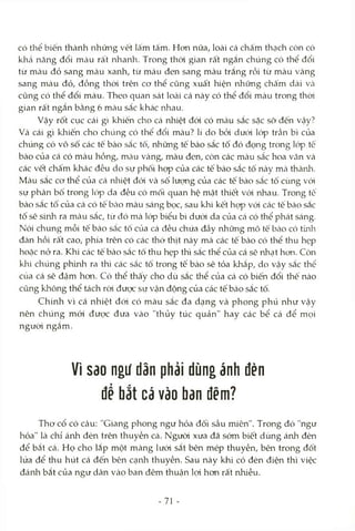 có thể biến thành những vết lâ'm tấm. Hcm nữa, loài cá chấm thạch còn có
khả năng đổi màu rất nhanh. Trong thòi gian rất ngắn chúng có thể đổi
từ màu đỏ sang màu xanh, từ màu đen sang màu trắng rồi từ màu vàng
sang màu đỏ, đồng thòi trên cơ thể cũng xuất hiện những chấm dài Vcà
cũng có thể đổi màu. Theo quan sát loài cá này có thể đổi màu trong thòi
gian rất ngắn bằng 6 màu sắc khác nhau.
Vậy rốt cục cái gì khiến cho cá nhiệt đói có màu sắc sặc sờ đến vậy?
Và cái gì khiến cho chúng có thể đổi màu? lí do bỏi dưói lóp trần bì của
chúng có vô số các tế bào sắc tố, những tế bào sắc tố đó đọng trong lóp tê
bào của cá có màu hồng, mcàu vàng, màu đen, còn các màu sắc hoa văn và
các vết chấm khác đều do sự phối họp của các tế bào sắc tố này mà thành.
Màu sắc cơ thể của cá nhiệt đới và số lượng của các tế bào sắc tố cùng vói
sự phân bố trong lóp da đều có mối quan hệ mật thiết vói nhau. Trong tê
bào sắc tô của cá có tê bcàomàu sáng bọc, sau khi kết hợp vói các tế bào sắc
tố sẽ súìh ra màu sắc, từ đó mà lóp biểu bì dưói da của cá có thể phát sáng.
Nói chung mỗi tế bào Scíc tô của cá đều chứa đầy những mô tế bcào có tính
đàn hồi rất cao, phía trên có các thớ thịt này mà các tế bào có thể thu hẹp
hocặc nở ra. Khi các tế bào sắc tố thu hẹp thì sắc thể của cá sẽ nhạt hơn. Còn
khi chúng phình ra thì các sắc tố trong tế bào sẽ tỏa khắp, do vậy sắc thể
của cá sẽ đậm hon. Có thể thấy cho dù sắc thể của cá có biến đổi thế nào
cũng không thể tách ròi được sự vận động của các tế bào sắc tố.
Chính vì cá nhiệt đới có màu sắc đa dạng và phong phú như vậy
nên chúng mói được đưa vào "thủy túc quản" hay các bể cá để mọi
người ngắm.
Vì sao ngư dân phải dùng ánh đèn
để bắt cá vào ban đêm?
Thơ cổ có câu: "Giang phong ngư hỏa đối sầu miên". Trong đó "ngư
hỏa" là chỉ ánh đèn trên thuyền cá. Ngưòi xưa đã sớm biết dùng ánh đèn
để bắt cá. Họ cho lắp một màng lưói sắt bên mép thuyền, bên trong đốt
lửa để thu hút cá đến bên cạnh thuyền. Sau này khi có đèn điện thì việc
đánh bắt của ngư dân vào ban đêm thuận lọi hơn rất lìhiều.
-71 -
 