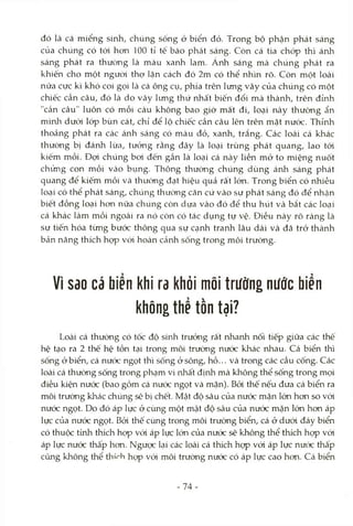 đó là cá miểng sinh, chúng sống ở biển đỏ. Trong bộ phận phát sáng
của chúng có tới hon 100 tỉ tế bào phát sáng. Còn cá tia chóp thì ánh
sáng phát ra thường là màu xanh lam. Ánh sáng mà chúng phát ra
khiến cho một người thợ lặn cách đó 2m có thể nhìn rõ. Còn một loài
nửa cực kì khó coi gọi là cá ông cụ, phía trên lưng vây của chúng có một
chiếc cần câu, đó là do vây lưng thứ nhất biến đổi mà thành, trên đỉnh
"cần câu" luôn có mồi càu không bao giờ mất đi, loại này thường ẩn
mình dưói lóp bùn cát, chỉ để lộ chiếc cần câu lên trên mặt nước. Thỉnh
thoảng phát ra các ánh sáng có màu đỏ, xanh, trắng. Các loài cá khác
thưòng bị đánh lừa, tưởng rằng đây là loại trùng phát quang, lao tói
kiếm mồi. Đợi chúng boi đến gần là loại cá này liền mở to miệng nuốt
chủng con mồi vào bụng. Thông thường chúng dùng ánh sáng phát
quang để kiếm mồi và thường đạt hiệu quả rất lớn. Trong biển có nhiều
loại có thể phát sáng, chúng thường căn cứ vào sự phát sáng đó để nhận
biết đồng loại hon nữa chúng còn dựa vào đó để thu hút và bắt các loại
cá khác làm mồi ngoài ra nó còn có tác dụng tự vệ. Điều này rõ ràng là
sự tiến hóa tùng bước thông qua sự cạnh tranh lâu dài và đã trở thành
bản năng thích họp vói hoàn cảnh sống trong môi trường.
Vì sao cá biển khi ra khỏi môi trường nư0c biển
không thể tồn tại?
Loài cá thường có tốc độ sinh trưởng rất nhanh nối tiếp giữa các thê
hệ tạo ra 2 thế hệ tồn tại trong môi trường nước khác nhau. Cá biển thì
sống ở biển, cá nước ngọt thì sống ở sông, hồ... và trong các cầu cống. Các
loài cá thưòng sống trong phạm vi nhất định mà không thể sống trong mọi
điều kiện nước (bao gồm cá nước ngọt và mặn). Bỏi thế nếu đưa cá biển ra
môi trường khác chúng sẽ bị chết. Mật độ sâu của nước mặn lớn hon so vói
nước ngọt. Do đó áp lực ở cùng một mật độ sâu của nưóc mặn lớn hon áp
lực của nước ngọt. Bỏi thế cùng trong môi trường biển, cá ở dưói đáy biển
có thuộc tứủì thích họp vói áp lực lớn của nưóc sẽ không thể thích họp vói
áp lực nước thấp hon. Ngược lại các loài cá thích họp vói áp lực nước thấp
cũng không thể thírh hcrp vói môi trường nước có áp lực cao hon. Cá biển
74
 