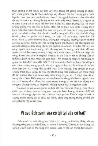 thân chúng có rất nliiều các lóp vảy nhỏ, trông rất giống những lá chắn,
nên được gọi là vẩy lá chắn, mỗi lóp vảy đều có các hạt xưong giấu dưới
lóp da, hon nữa trên m'mh chúng còn có các ngạch lưỡi câu, nên nếu như
chúng ta vuốt vào chúng thì tay sẽ rất dễ bị trầy xưóc. Trước đây ngưòi ta
thường dùng da cá mập để làm bao kiếm. Sự siưh trưởng của cá mập
kliông giống vói các loài cá khác. Hầu hết cá mập đều sinh trưởng theo
kiểu diên thái sinh, thưòng thụ tinh trong cơ thể con cái. Trong quá trmh
phát dục, dinh dưỡng chủ yếu do con đực cung cấp. Cá mập hầu hết sống
ở biển, phạm vi phân bố rất rộng, đặc biệt là ở các vùng duyên hải. Cá
mtập Là loài cá có tíivh nhục thực, chúng rất hung dữ, thường xuyên ăn thịt
các loài cá khác. Trong đó loài Ccá mập hung dữ nhất có thể cắn người, nó
có hình dáng rất lón, răng nhọn, tốc độ boi rất nhanh. Khi đói rất hay tấn
cóng người nên ở các vùng biển thường có các màng lưcVi chcắn để con
ngưòi có thể boi trong những vùng nước nhất địnli, tránh bị cá mập tấn
công. Khứu giác của cá mập rất nhạy Ccảm, dù ở vị trí rất xa chúng vẫn có
thể phát hiện ra mùi máu của con mồi. Trên mình cá mập có rất nhiều cơ
quan thụ khí điện cảm đặc biệt có thể cảm nhận được sự biến đổi rất yếu
của điện trường xung quanla, do vậy ngay cả loài cá thờn bơn vùi mình
dưới lớp bùn cát cũng khó có thể thoát khỏi chúng. Tuy nhiên cá mập
không thích màu vàng, do vậy thợ lặn thường mặc quần áo lặn màu vàng
để lặn xuống klru vực có cá mập sinh sống. Ngoài ra, cá mập còn rất sợ
trứng đom đóm. Hiện nay, các nhà nghiên cứu đang tiến hành nghiên cứu
các chât trứng đom đóm, hy vọng trong tương lai có thể vận dụng vào
công tác phòng chống cá mập cho những người hocỊt động dưới biển.
Cá mcập là locài cá có giá trị kinỈT tế rất cao, thịt của chúng chứa nhiều
chất dinh dưỡng, gan Vtà tcạng cá chứa một hàm lượng vitamin A-D rất
lớn, có thể cung cấp Vcào việc chế tạo dược phẩm. Do cá mập là loài cá
xưong mềm, trong đó có chứa rất nhiều chcất lòng trắng trứng có thể gia
công thcành vây cá rất quý.
Vì Sdo ểch xanh vừa có lợi lại vừa có hại?
Ech xanli Là locài động vật nhỏ mà chúng ta thường thấy, chúng
thường sống ở các cánh đồng, ao hồ và ở bờ sông. Chúng thuộc động vật
lưỡng tê nên vừa có thể sống trên CcỊn lại vừa có thể lặn m'mh dưói nước.
82-
 