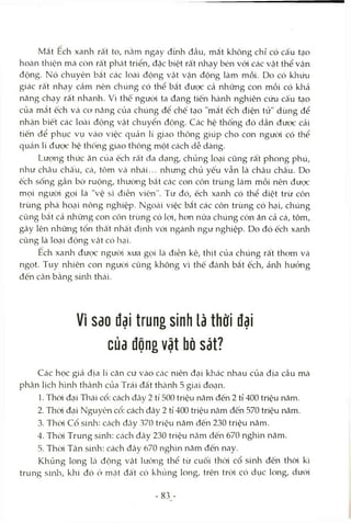 Mắt Ech xanh rất to, nằm ngay đmh đầu, mắt không chỉ có cấu tạo
hoàn thiện mà còn rất phát triển, đặc biệt rất nhạy bén với các Vcật thể vận
động. Nó chuyên bắt các loài động vật vận động làm mồi. Do có khứu
giác rất nhạy cảm nên chúng có thể bắt được cả những con mồi có khả
năng chạy rất nhanh. Vì thê ngưòi ta đang tiến hành nghiên cứu cấu tạo
của mất ếch và co năng của chúng để chế tạo "mắt ếch điện tử" dùng để
nhận biết các loài động vật chuyển động. Các hệ thống đó dần được cải
tiến để phục vụ vào việc quản lí giao thông giúp cho con người có thể
quản lí được hệ thống giao thông một cách dễ dàng.
Lượng thức ăn của ếch rất đa dạng, chủng loại cũng rất phong phú,
như châu châu, cá, tôm và nhái... nhưng chủ yếu vẫn là châu châu. Do
ếch sống gần bờ ruộng, thường bắt các con côn trùng làm mồi nên đưọc
mọi người gọi là "vệ sĩ điền viên". Từ đó, ếch xanh có thể diệt trừ côn
trùng phá hoại nông nghiệp. NgOcài việc bắt các côn trùng có hại, chúng
cũng bắt cả những con côn trùng có lợi, hon nữa chúng còn ăn cả cá, tôm,
gây lên những tổn thất nhất định vói ngành ngư nghiệp. Do đó ếch xanh
cũng là loại động vật có hcỊi.
Ech xanh được ngưcri xưa gọi Icàđiền kê, thịt của chúng rất thom và
ngọt. Tuy nhiên con người cũng không vì thế đánh bắt ếch, ảnh hưỏng
đến cân bằng sinla thái.
Vì Sdo đại trung sinh là thời đại
của động vật bò sát?
Các học giả địa lí căn cứ vào các niên đại klicác nhau của địa cầu mà
phân lịch hình thành của Trái đất thcành 5 giai đocỊn.
1. Thòi đại Tliái cổ: cách đây 2 tỉ 500 triệu năm đến 2 tỉ 400 triệu năm.
2. Thòi đcại Nguyên cổ: cách đây 2 tí 400 triệu năm đến 570 triệu năm.
3. Thòi Cổ sinh: cách đây 370 triệu năm đến 230 triệu năm.
4. Thòi Trung sinh: Ccách đây 230 triệu năm đến 670 nghìn năm.
5. Thòi Tân sinh: cách đây 670 nghìn năm đến nay.
Khủng long Icà động vật lưỡng thể từ cuối thòi cổ sinh đến thòi kì
trung sinla, khi đó ỏ mặt đất có khủng long, trên tròi có dục long, dưói
- 83 -
 