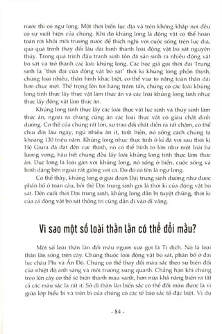 nước thì có ngư long. Một thòi biển lục địa và trên không khắp noi đều
có sự xuất hiện của chúng. Khi đó khủng long là động vật có thể hoàn
toàn ròi khỏi môi trường nước để thích nghi vói cuộc sống trên lục địa,
qua quá trình thay đổi lâu dcài hình thành loài động vật bò sát nguyên
thủy. Trong quá trình đấu tranh sinh tồn đã sản sinh ra nhiều động vật
bò sát và trở thành các locài khủng long. Các học gicả gọi thòi đại Trung
sinh là "thòi đcỊÌ của động vật bò sát" thòi kì khủng long phồn thịnh,
chủng loại nhiều, thân hình khác biệt, cơ thể vừa to nặng tOcàn thân dài
hon chục mét. Thế trọng lên ttVi hàng trăm tấn, chúng có các loài klrủng
long tíivl-i thực Icấy thực vật làm thức ăn và các loài khủng long tính nhục
thực lấy động vật làm thức ăn.
Khủng long tính thực lấy các loài thực vật lục sinh và thủy sinh làm
thức ăn, ngOcài ra chúng cũng ăn các locài thực vật có giàu chất dinh
dưỡng. Cơ thể của chúng rất lớn, sự trao đổi chất diễn ra rất chậm, có thể
chịu đói lâu ngcày, ngủ nhiều ăn ít, tính hiền, nó sống cách chúng ta
khoáng 130 triệu năm. Khủng long nhục thực tínla ở kỉ đá voi sau thời kì
Hệ Giura đã đạt đến cực thịnh, nó có thể hình to lớn như một locài bá
lương vong, hầu hốt chúng đều lấy loài khủng long tính thực làm thức
ăn. Dục long Icà loài gần với khủng long, nó sống ở biển, cuộc sống và
hình dáng bên ngoài rất giống với cá. Do đó có tên là ngư long.
Có thể thấy, khủng long ở giai đoạn Đại trung sinh dường nliư được
phân bò ớ toàn cầu, bởi thế Đại trung sinh gọi là thòi kì của động vật bò
sát. Dến cuối thcMĐcại trung sinli, khủng long dcần bị tuyệt chủng, thòi kì
của cà động vật bò sát thống trị cũng dcần đi vào dĩ vãng.
Vì sao một số loài thằn lằn có thể đổi mầu?
Một sô loài thằn Icằn đổi mầu người xưa gọi là Tị dịch. Nó là loại
thằn lằn sống trên cây. Chúng thuộc loài động vật bò sát, phân bô ở đcỊi
lục châu Phi và An Độ. Chúng có thể thay đổi màu sắc theo sự biến đổi
của nhiệt độ ánh sáng và môi trường xung quanli. Chẳng hạn khi chúng
trèo lên cây cơ thể sẽ biến thành mcàu xanh, hơn nữa khả năng biến ra tất
Ccả các màu sắc là rất ít. Sở dĩ thằn Icằn biến sắc có thể đổi màu được là vì
giữa lóp biểu bì Vcà trên bì của chúng có các tế bào sắc tố đặc biệt. Ví dụ
- 84-
 