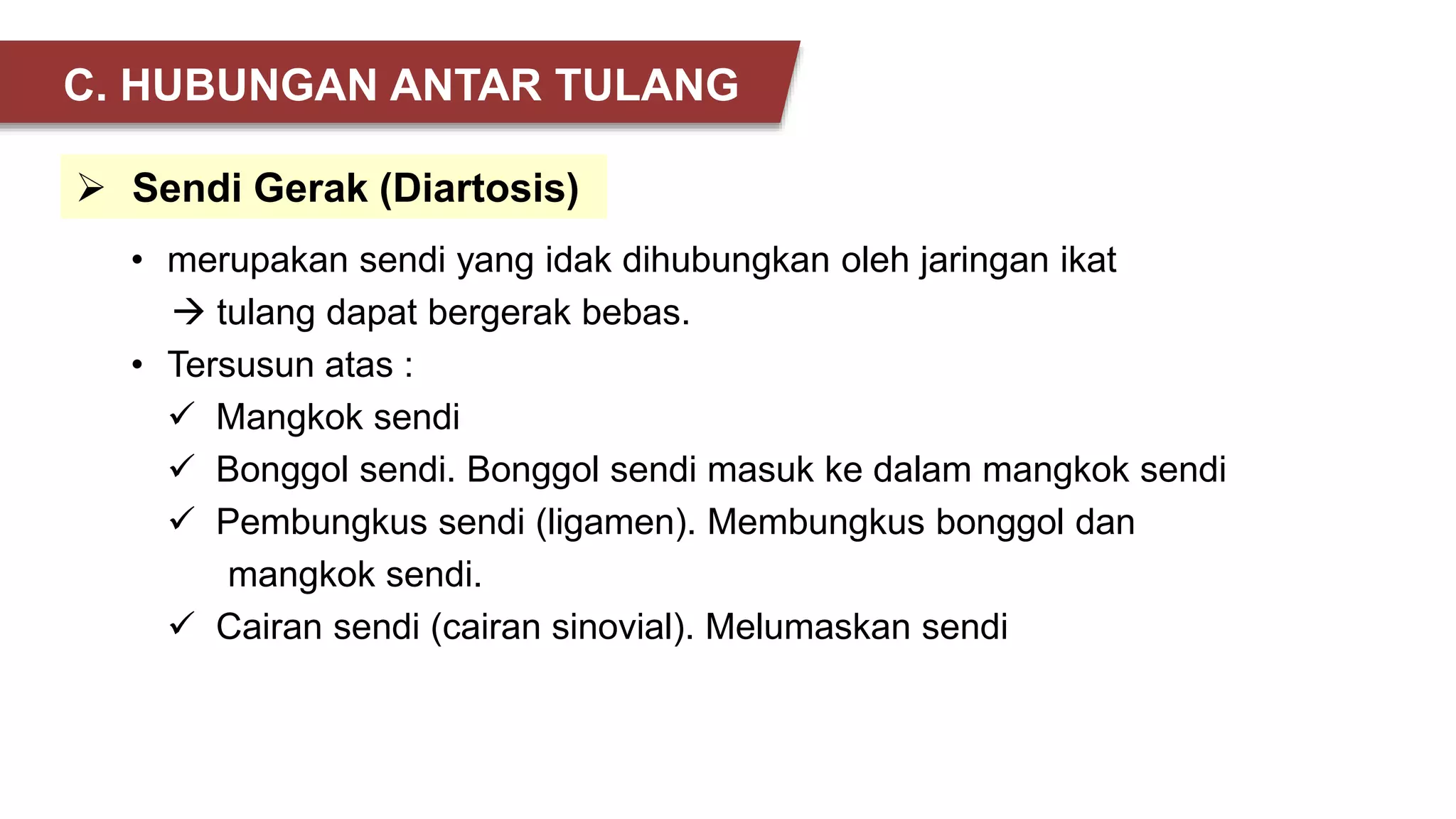 • merupakan sendi yang idak dihubungkan oleh jaringan ikat
 tulang dapat bergerak bebas.
• Tersusun atas :
 Mangkok sendi
 Bonggol sendi. Bonggol sendi masuk ke dalam mangkok sendi
 Pembungkus sendi (ligamen). Membungkus bonggol dan
mangkok sendi.
 Cairan sendi (cairan sinovial). Melumaskan sendi
 Sendi Gerak (Diartosis)
C. HUBUNGAN ANTAR TULANG
 