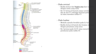 BIMBINGAN 7 - CTS, TTS, Neuropati, Peroneal Palsy, Neurogenic Bladder ...