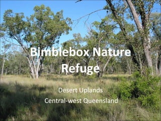 Bimblebox Nature Refuge Desert Uplands Central-west Queensland 