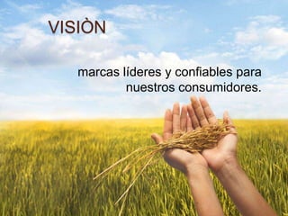 VISIÒN

   marcas líderes y confiables para
           nuestros consumidores.
 