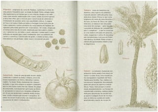 Bimby - Na Rota das Descobertas