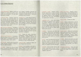 Bimby - Na Rota das Descobertas