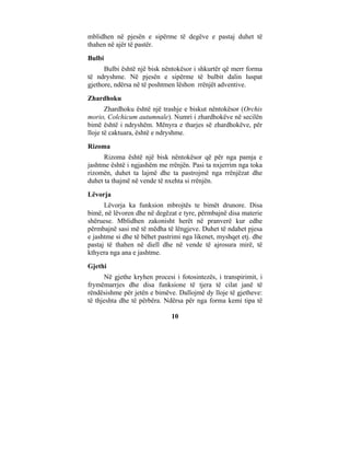 mblidhen në pjesën e sipërme të degëve e pastaj duhet të
thahen në ajër të pastër.
Bulbi
      Bulbi është një bisk nëntokësor i shkurtër që merr forma
të ndryshme. Në pjesën e sipërme të bulbit dalin luspat
gjethore, ndërsa në të poshtmen lëshon rrënjët adventive.
Zhardhoku
       Zhardhoku është një trashje e biskut nëntokësor (Orchis
morio, Colchicum autumnale). Numri i zhardhokëve në secilën
bimë është i ndryshëm. Mënyra e tharjes së zhardhokëve, për
lloje të caktuara, është e ndryshme.
Rizoma
      Rizoma është një bisk nëntokësor që për nga pamja e
jashtme është i ngjashëm me rrënjën. Pasi ta nxjerrim nga toka
rizomën, duhet ta lajmë dhe ta pastrojmë nga rrënjëzat dhe
duhet ta thajmë në vende të nxehta si rrënjën.
Lëvorja
      Lëvorja ka funksion mbrojtës te bimët drunore. Disa
bimë, në lëvoren dhe në degëzat e tyre, përmbajnë disa materie
shëruese. Mblidhen zakonisht herët në pranverë kur edhe
përmbajnë sasi më të mëdha të lëngjeve. Duhet të ndahet pjesa
e jashtme si dhe të bëhet pastrimi nga likenet, myshqet etj. dhe
pastaj të thahen në diell dhe në vende të ajrosura mirë, të
kthyera nga ana e jashtme.
Gjethi
      Në gjethe kryhen procesi i fotosintezës, i transpirimit, i
frymëmarrjes dhe disa funksione të tjera të cilat janë të
rëndësishme për jetën e bimëve. Dallojmë dy lloje të gjetheve:
të thjeshta dhe të përbëra. Ndërsa për nga forma kemi tipa të

                              10
 