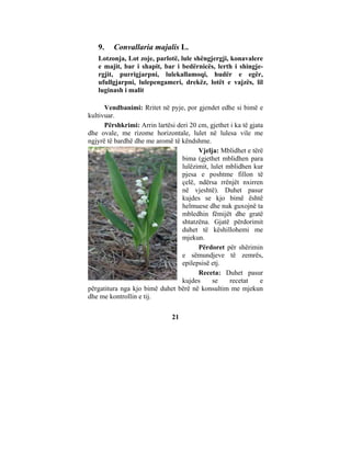 9.    Convallaria majalis L.
   Lotzonja, Lot zoje, parlotë, lule shëngjergji, konavalere
   e majit, bar i shapit, bar i bedërnicës, lerth i shingje-
   rgjit, purrigjarpni, lulekallamoqi, hudër e egër,
   ufullgjarpni, lulepengameri, drekëz, lotët e vajzës, lil
   luginash i malit

      Vendbanimi: Rritet në pyje, por gjendet edhe si bimë e
kultivuar.
      Përshkrimi: Arrin lartësi deri 20 cm, gjethet i ka të gjata
dhe ovale, me rizome horizontale, lulet në lulesa vile me
ngjyrë të bardhë dhe me aromë të këndshme.
                                        Vjelja: Mblidhet e tërë
                                  bima (gjethet mblidhen para
                                  lulëzimit, lulet mblidhen kur
                                  pjesa e poshtme fillon të
                                  çelë, ndërsa rrënjët nxirren
                                  në vjeshtë). Duhet pasur
                                  kujdes se kjo bimë është
                                  helmuese dhe nuk guxojnë ta
                                  mbledhin fëmijët dhe gratë
                                  shtatzëna. Gjatë përdorimit
                                  duhet të këshillohemi me
                                  mjekun.
                                        Përdoret për shërimin
                                  e sëmundjeve të zemrës,
                                  epilepsisë etj.
                                        Receta: Duhet pasur
                                  kujdes      se    recetat     e
përgatitura nga kjo bimë duhet bërë në konsultim me mjekun
dhe me kontrollin e tij.

                               21
 