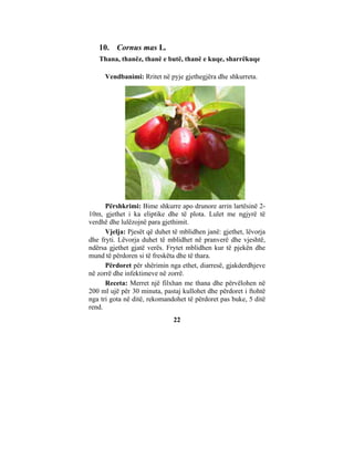 10. Cornus mas L.
   Thana, thanëz, thanë e butë, thanë e kuqe, sharrëkuqe

     Vendbanimi: Rritet në pyje gjethegjëra dhe shkurreta.




      Përshkrimi: Bime shkurre apo drunore arrin lartësinë 2-
10m, gjethet i ka eliptike dhe të plota. Lulet me ngjyrë të
verdhë dhe lulëzojnë para gjethimit.
      Vjelja: Pjesët që duhet të mblidhen janë: gjethet, lëvorja
dhe fryti. Lëvorja duhet të mblidhet në pranverë dhe vjeshtë,
ndërsa gjethet gjatë verës. Frytet mblidhen kur të pjekën dhe
mund të përdoren si të freskëta dhe të thara.
      Përdoret për shërimin nga ethet, diarresë, gjakderdhjeve
në zorrë dhe infektimeve në zorrë.
      Receta: Merret një filxhan me thana dhe përvëlohen në
200 ml ujë për 30 minuta, pastaj kullohet dhe përdoret i ftohtë
nga tri gota në ditë, rekomandohet të përdoret pas buke, 5 ditë
rend.
                              22
 