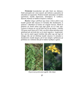 Përdorimi konsiderohet një ndër bimë me shëruese.
Është antiseptik më i mire natyral për luftimin e parazitëve të
ndryshëm në organizëm. Përdoret kundër sëmundjeve të lukthit
(gastritisit), kundër depresionit, sëmundjeve të veshkave,
diarresë, thartirës së lukthit të ënjturit e mëlçisë.
      Receta: Lëngu i përfituar nga zierja e luleve pihet si çaj
kundër gastritit dhe ulçerave të stomakut dhe duodenumit, si
qetësues i dhembjeve të kokës me origjinë nervore. Mund të
përdoret në formë infuzi (një lugë gjelle në 0.5 litër ujë).
Lulesat të zhytura në vaj (në këtë rast në një shishe 1 litërshe
250 gram masë futen në 0.5 litër vaj ulliri) mbasi përzihen mirë
qëndrojnë për një kohë deri sa të marrë ngjyrën e kuqërremtë.
Kur vaji ka marrë ngjyrë kullohet dhe pihet nga një lugë në
mëngjes dhe një në mbrëmje kundër ulçerave të stomakut e
duodenumit, kundër djegies, për të lyer plagët e qelbëzuara që
përthihen me vështirësi dhe për të ndalur rrjedhjen e gjakut.




           Hypericum perforatum (gjethi dhe lulja)

                              27
 