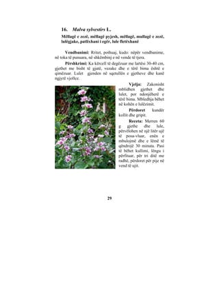 16. Malva sylvestirs L.
   Mëllagë e zezë, mëllagë pyjesh, mëllagë, mullagë e zezë,
   lulëgjake, patlixhani i egër, lule fletëxhanë

      Vendbanimi: Rritet, pothuaj, kudo: nëpër vendbanime,
në toka të punuara, në shkëmbinj e në vende të tjera.
      Përshkrimi: Ka kërcell të degëzuar me lartësi 30-40 cm,
gjethet me bisht të gjatë, vezake dhe e tërë bima është e
qimëzuar. Lulet gjenden në sqetullën e gjetheve dhe kanë
ngjyrë vjollce.
                                           Vjelja: Zakonisht
                                    mblidhen gjethet dhe
                                    lulet, por ndonjëherë e
                                    tërë bima. Mbledhja bëhet
                                    në kohën e lulëzimit.
                                           Përdoret     kundër
                                    kollit dhe gripit.
                                           Receta: Merren 60
                                    g gjethe dhe lule,
                                    përvëlohen në një litër ujë
                                    të posa-vluar, enën e
                                    mbulojmë dhe e lëmë të
                                    qëndrojë 30 minuta. Pasi
                                    të bëhet kullimi, lëngu i
                                    përfituar, për tri ditë me
                                    radhë, përdoret për pije në
                                    vend të ujit.




                              29
 
