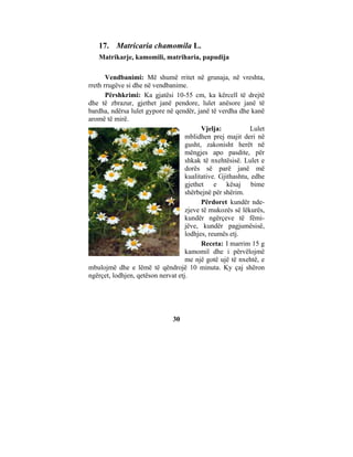 17. Matricaria chamomila L.
   Matrikarje, kamomili, matriharia, papudija

       Vendbanimi: Më shumë rritet në grunaja, në vreshta,
rreth rrugëve si dhe në vendbanime.
       Përshkrimi: Ka gjatësi 10-55 cm, ka kërcell të drejtë
dhe të zbrazur, gjethet janë pendore, lulet anësore janë të
bardha, ndërsa lulet gypore në qendër, janë të verdha dhe kanë
aromë të mirë.
                                          Vjelja:           Lulet
                                    mblidhen prej majit deri në
                                    gusht, zakonisht herët në
                                    mëngjes apo pasdite, për
                                    shkak të nxehtësisë. Lulet e
                                    dorës së parë janë më
                                    kualitative. Gjithashtu, edhe
                                    gjethet e kësaj bime
                                    shërbejnë për shërim.
                                          Përdoret kundër nde-
                                    zjeve të mukozës së lëkurës,
                                    kundër ngërçeve të fëmi-
                                    jëve, kundër pagjumësisë,
                                    lodhjes, reumës etj.
                                          Receta: I marrim 15 g
                                    kamomil dhe i përvëlojmë
                                    me një gotë ujë të nxehtë, e
mbulojmë dhe e lëmë të qëndrojë 10 minuta. Ky çaj shëron
ngërçet, lodhjen, qetëson nervat etj.




                               30
 